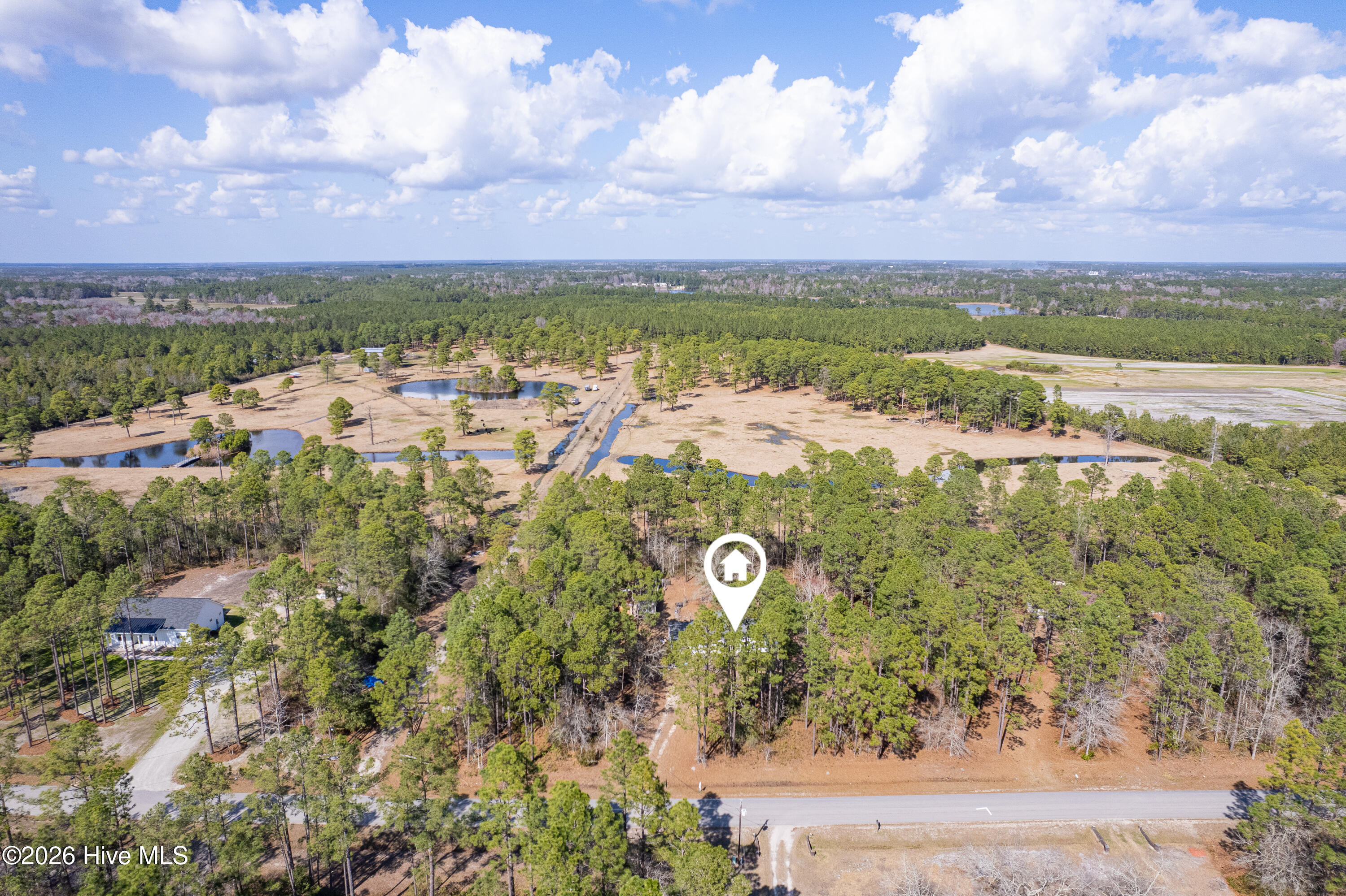 100559404 | Photo 31