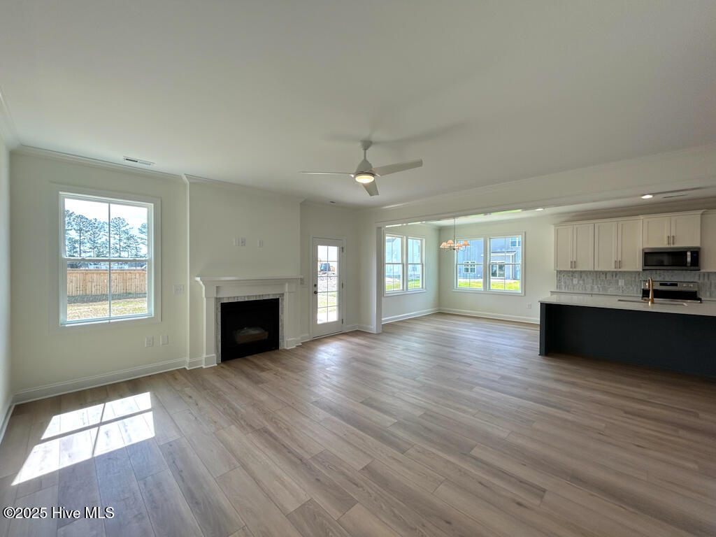 100479294 | Photo 33