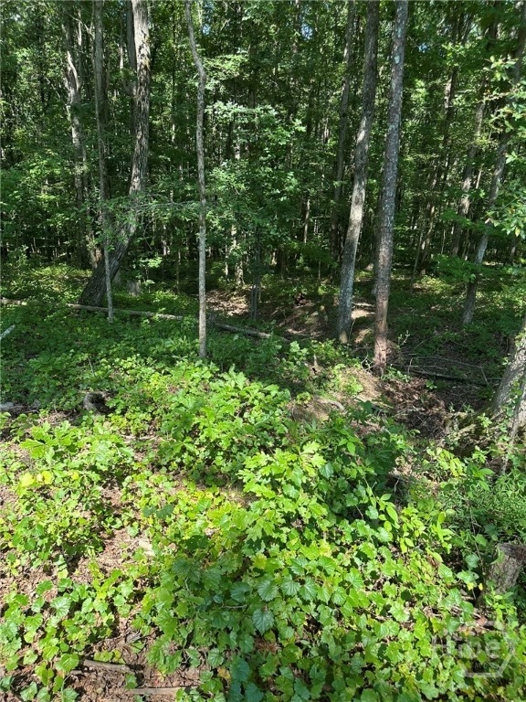 00 Fears, Madison, GA, 30650