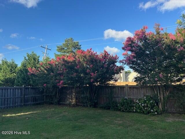 100566118 | Photo 55