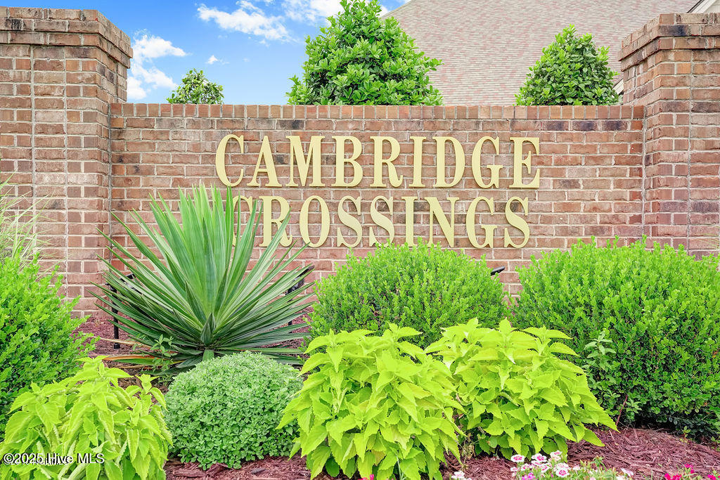 100550184 | Photo 45