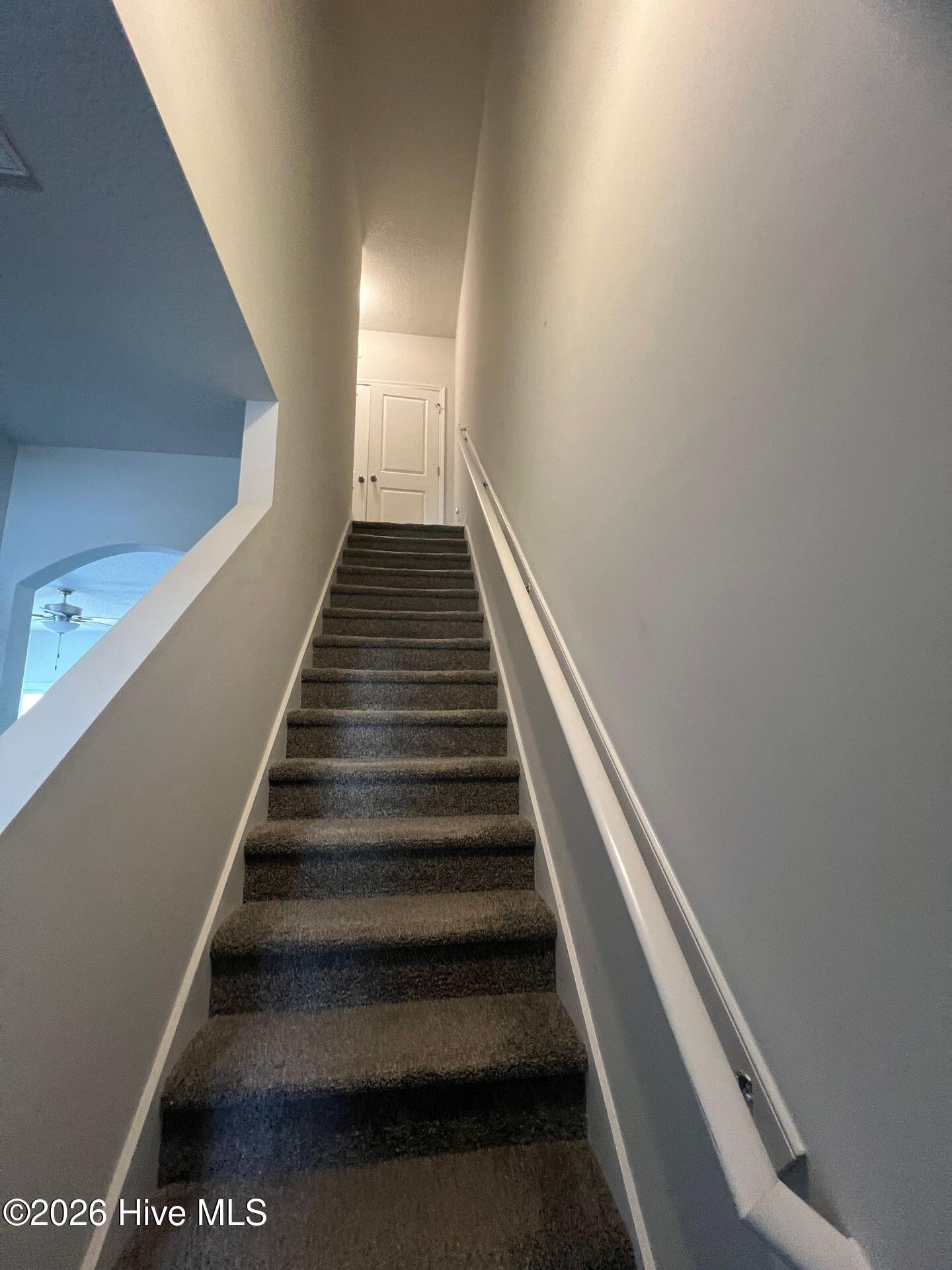 100566254 | Photo 12