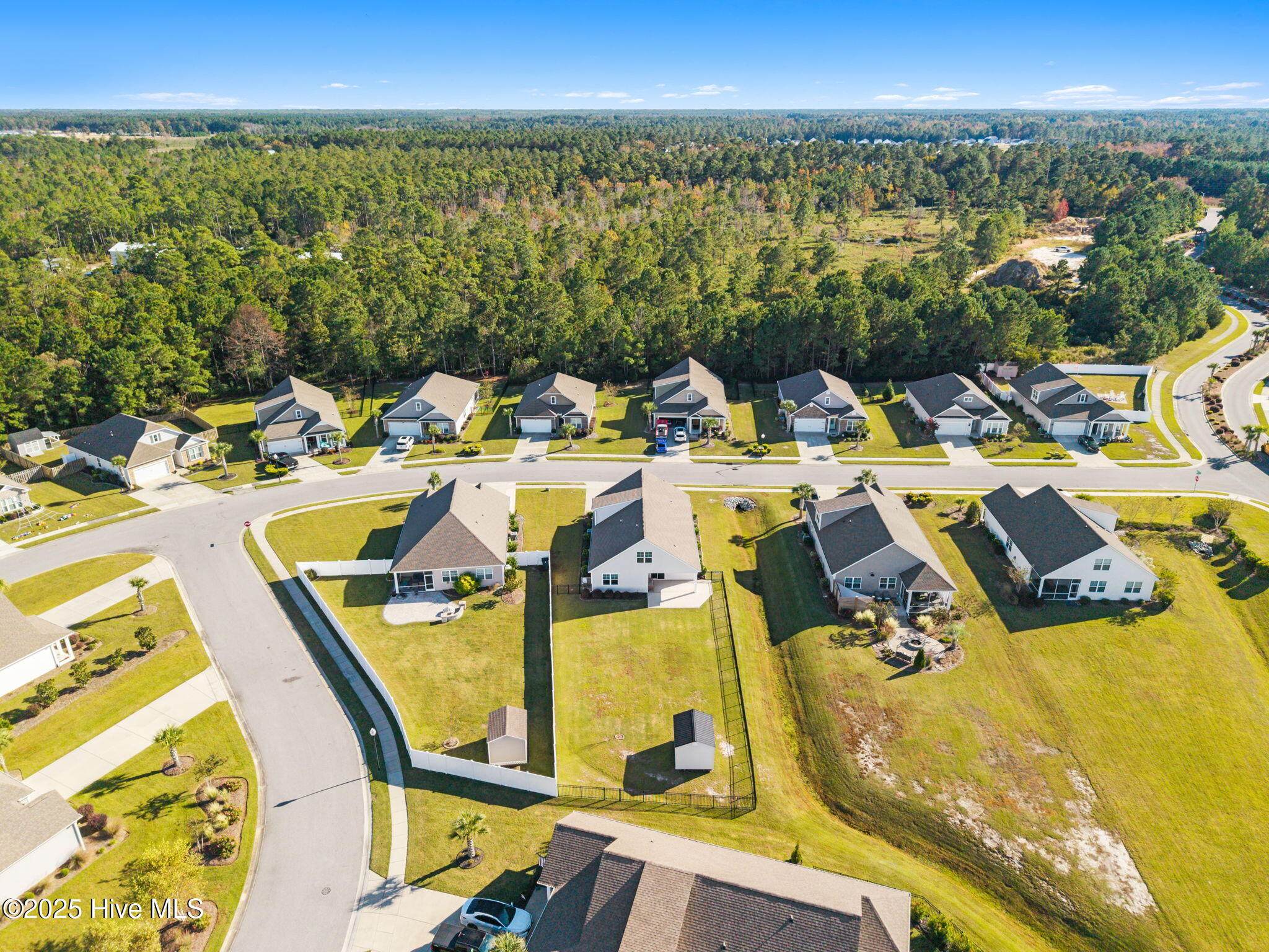 100538184 | Photo 55