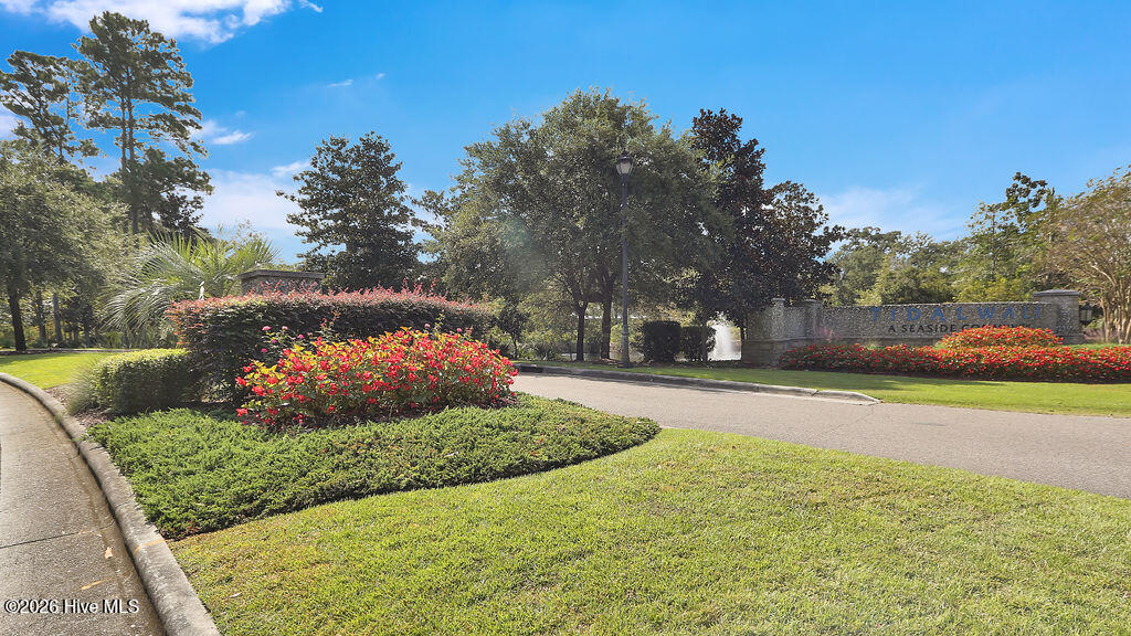 100564956 | Photo 84