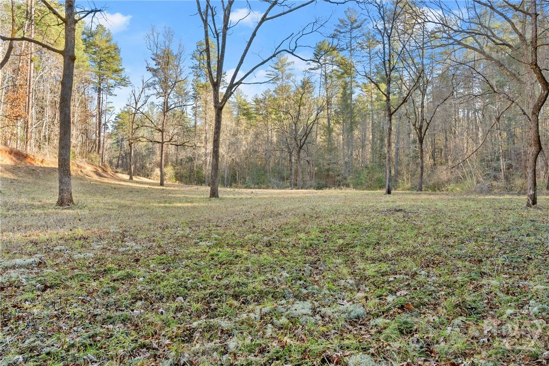 Shoal Creek Tract Potential Home Site