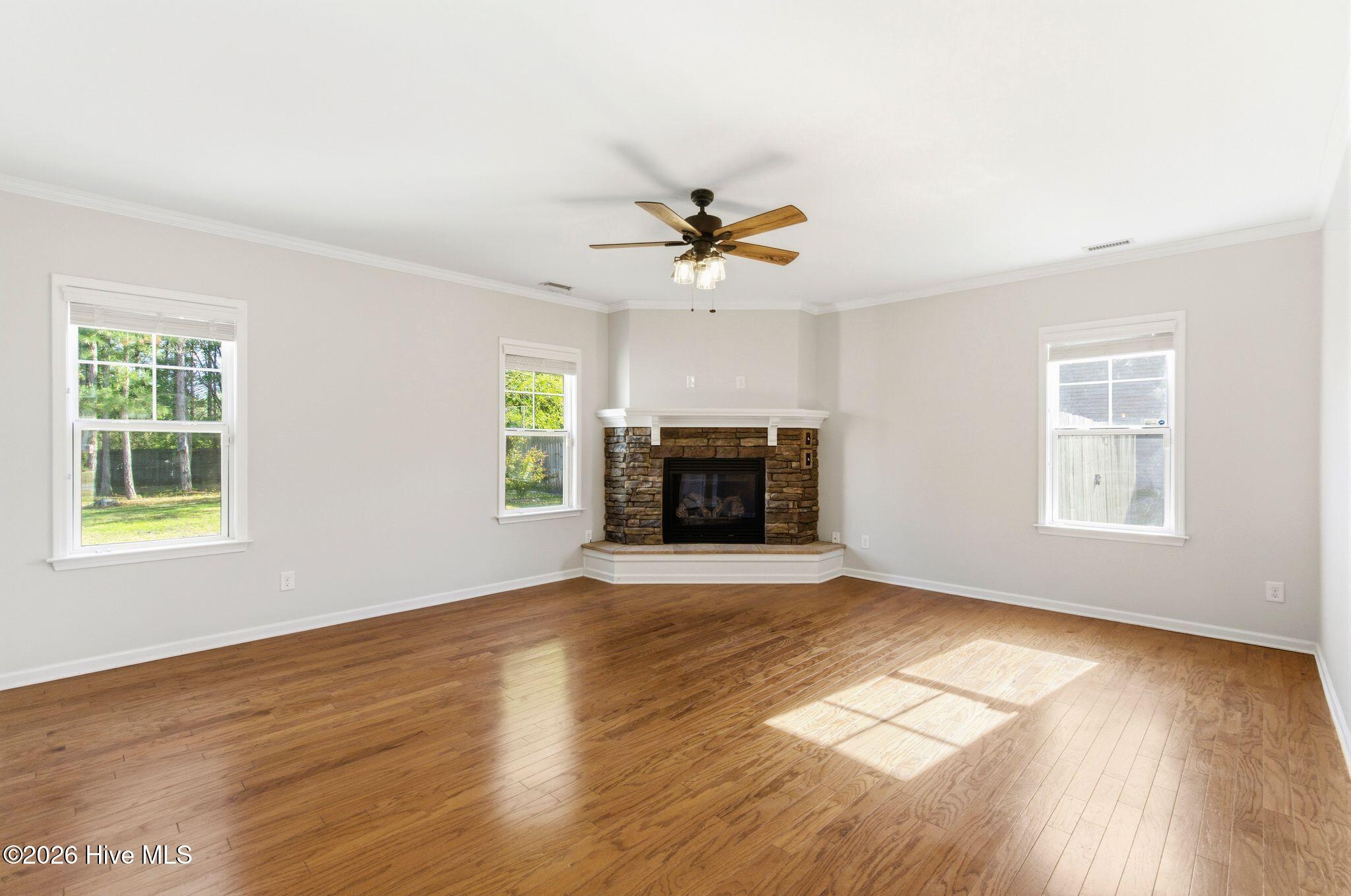 100566859 | Photo 17