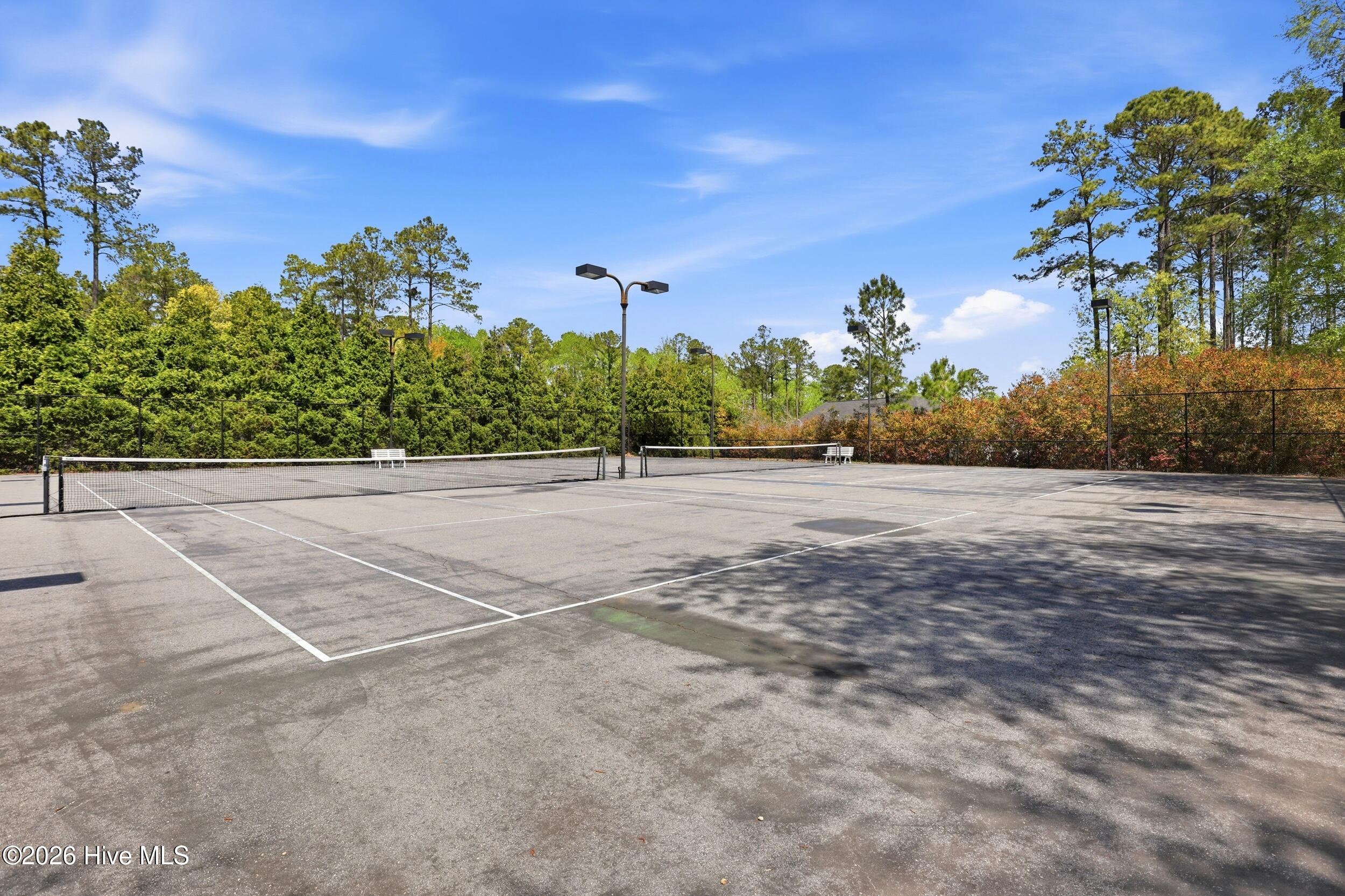 100565948 | Photo 50