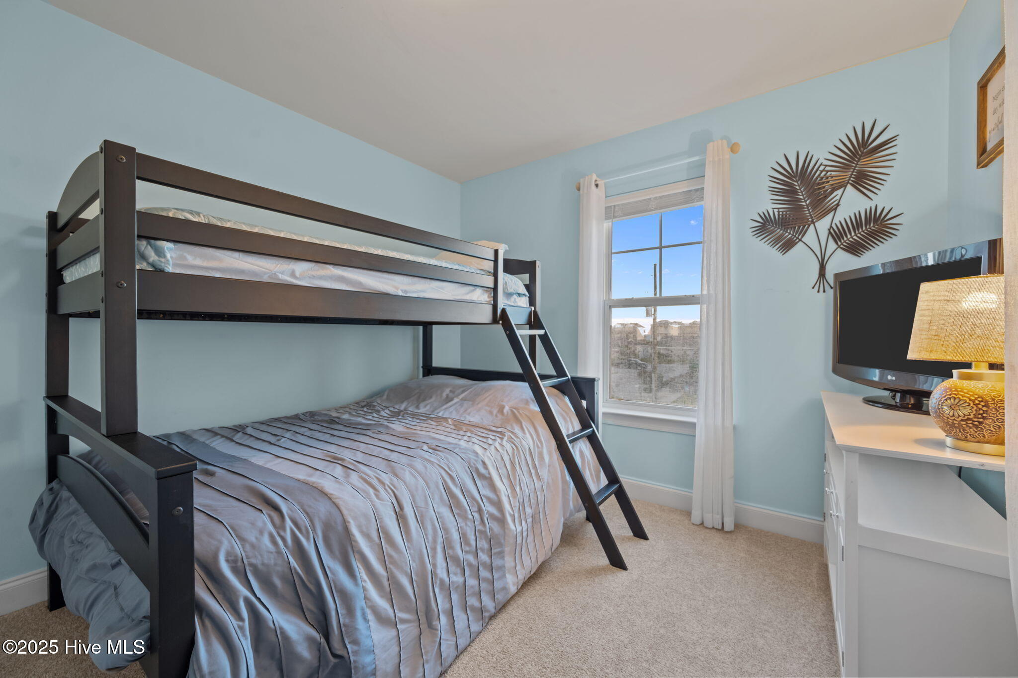 100537897 | Photo 26