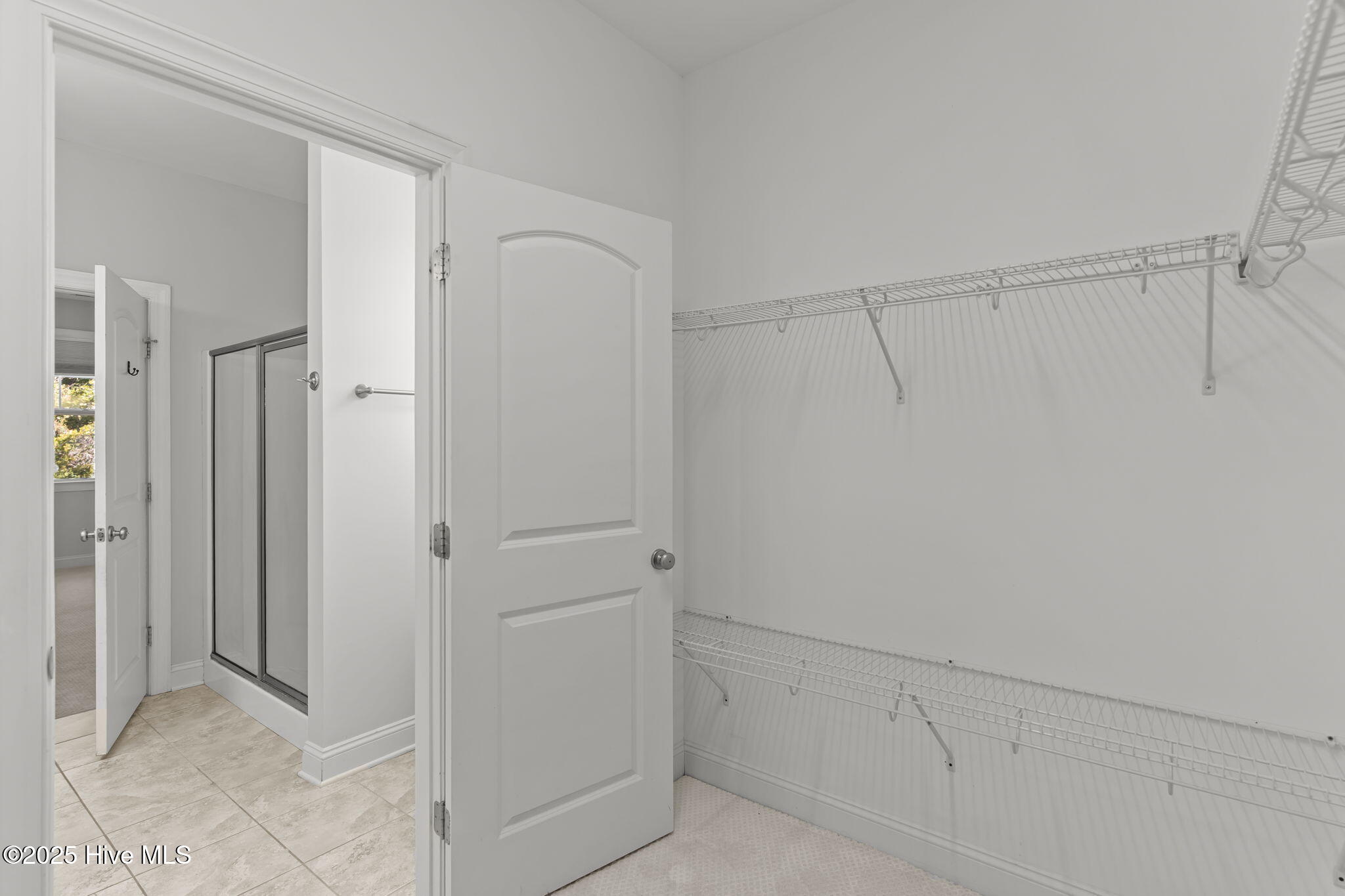 100537665 | Photo 26