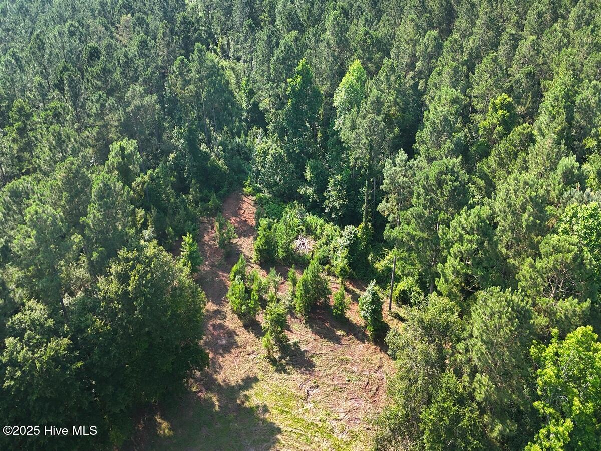 100513588 | Photo 32