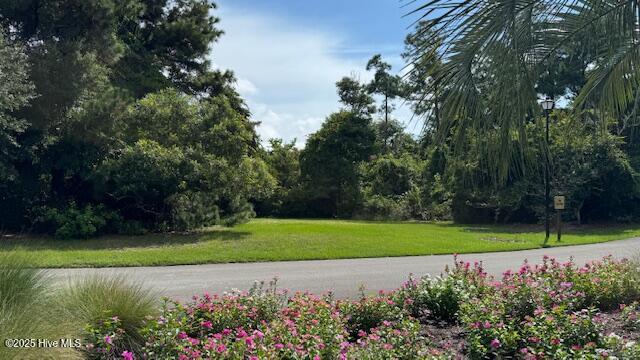 100525886 | Photo 13