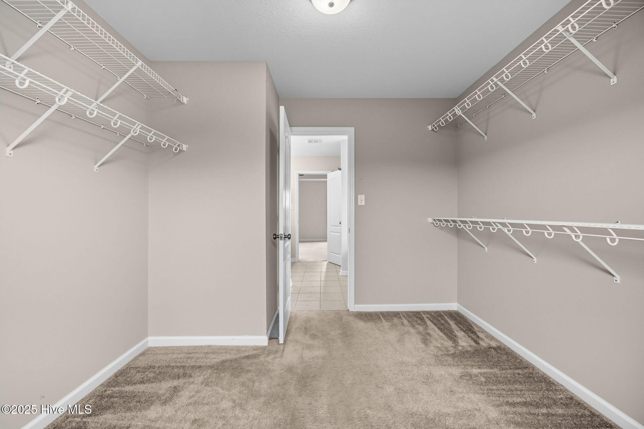 100532057 | Photo 19