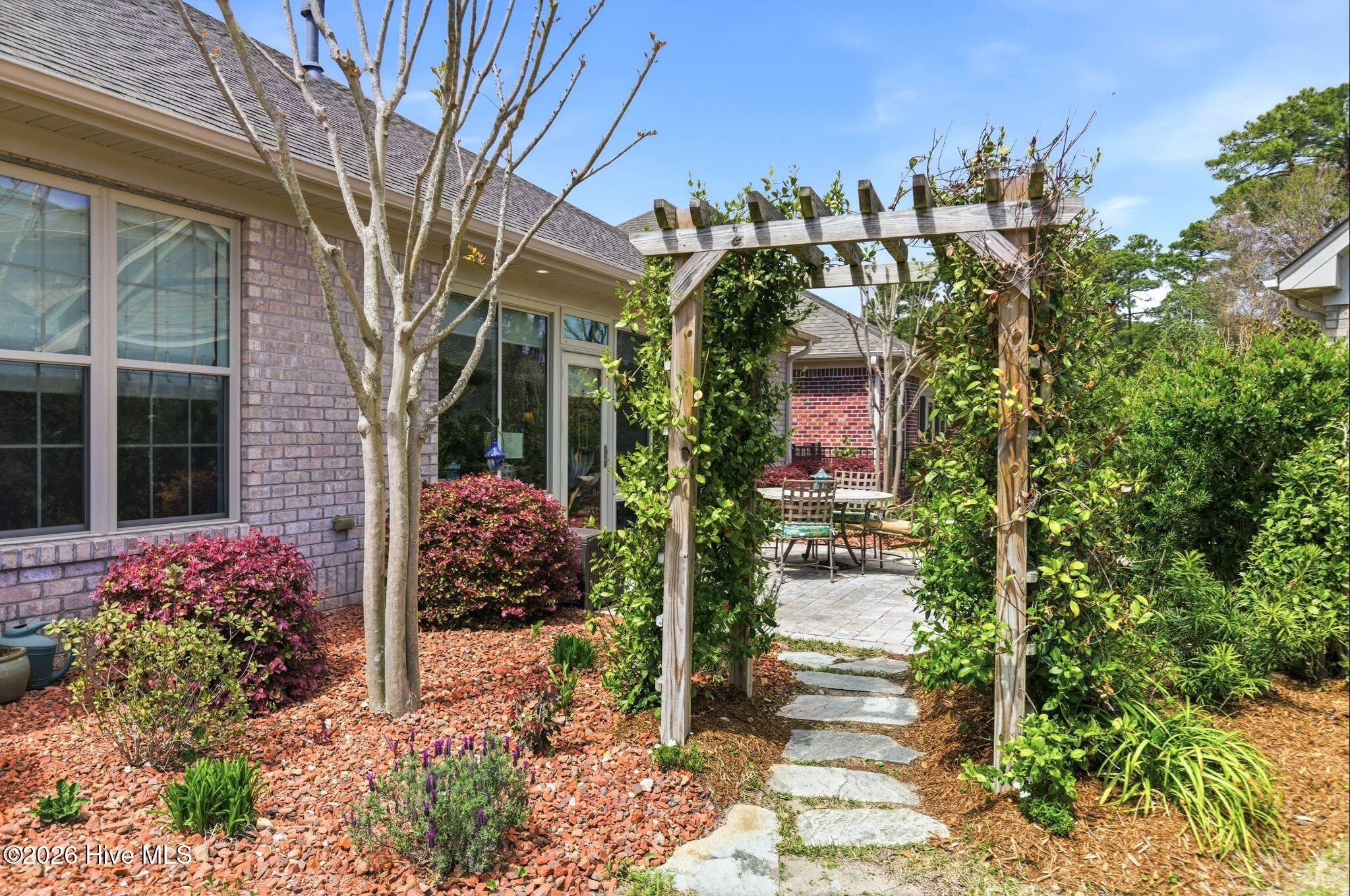 100564564 | Photo 50