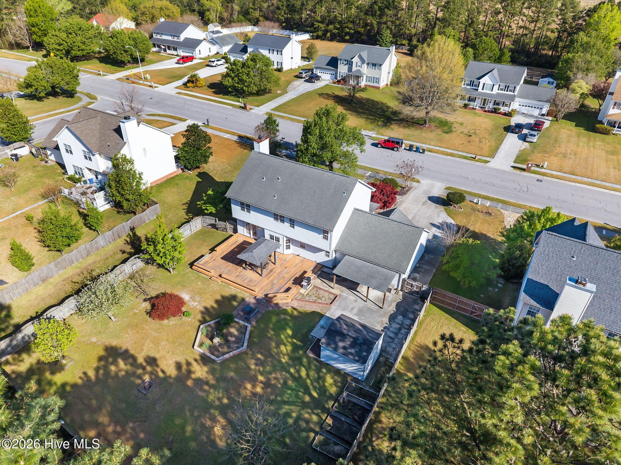 100565135 | Photo 42