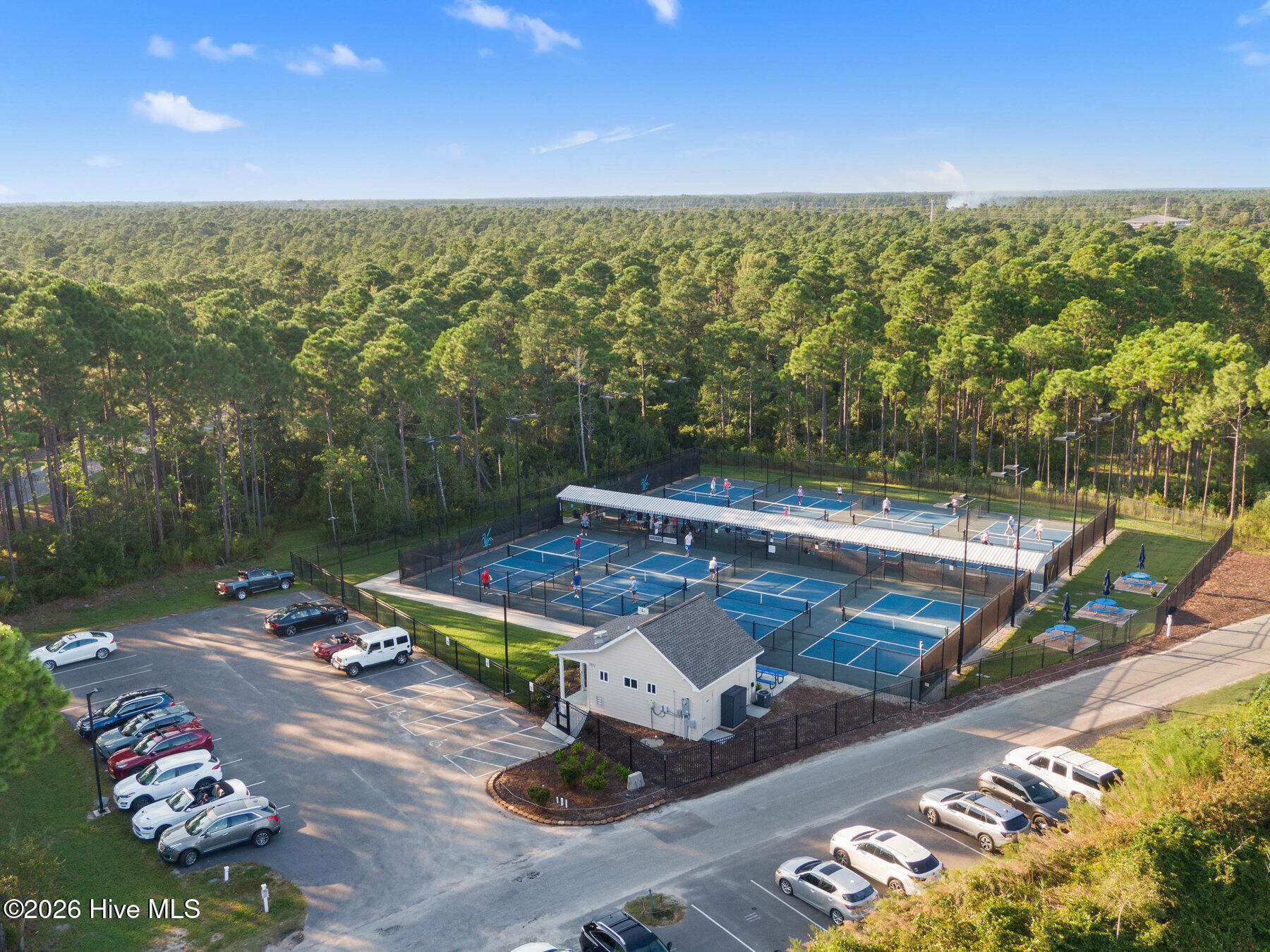 100558042 | Photo 107