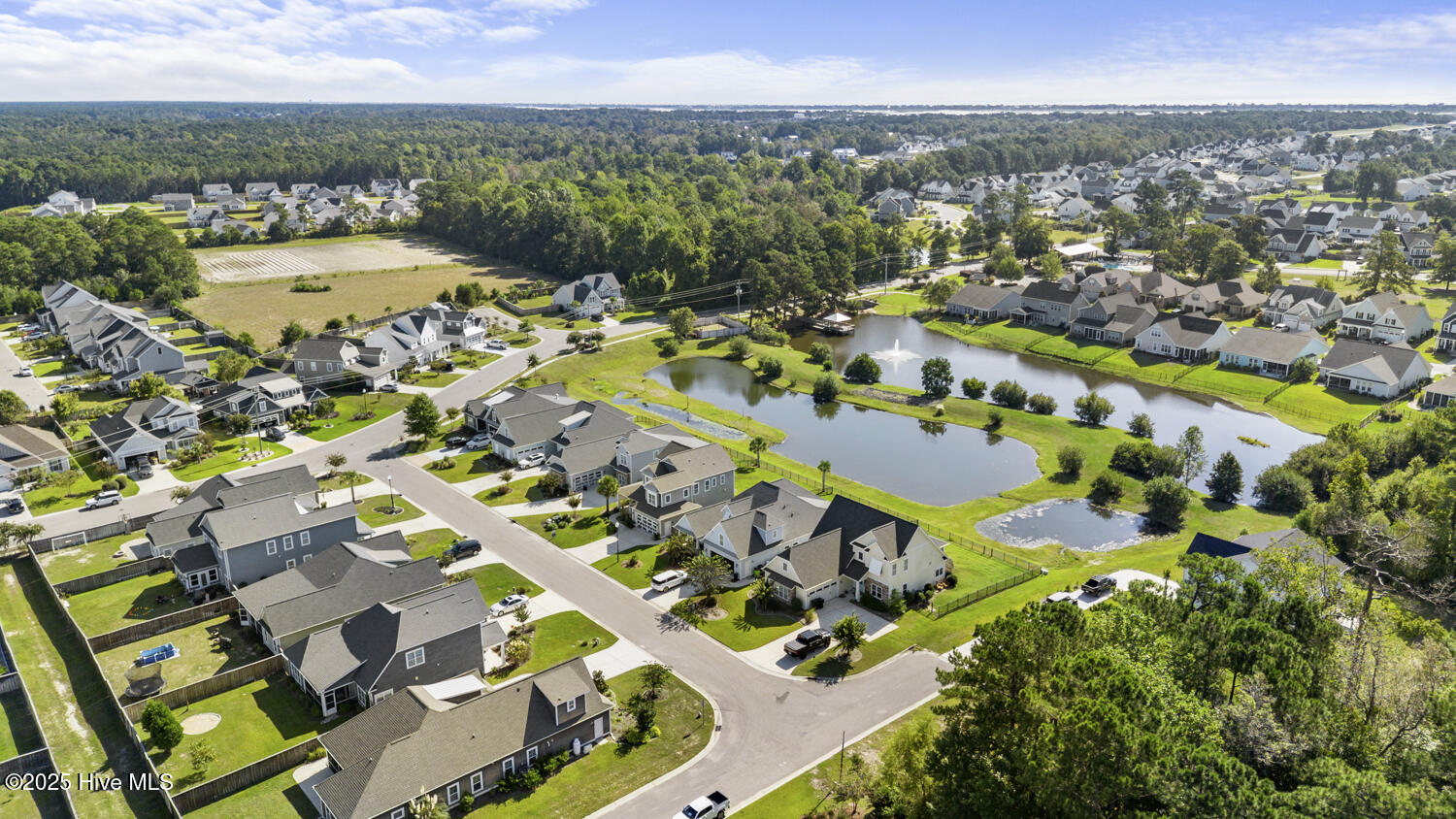 100530635 | Photo 44