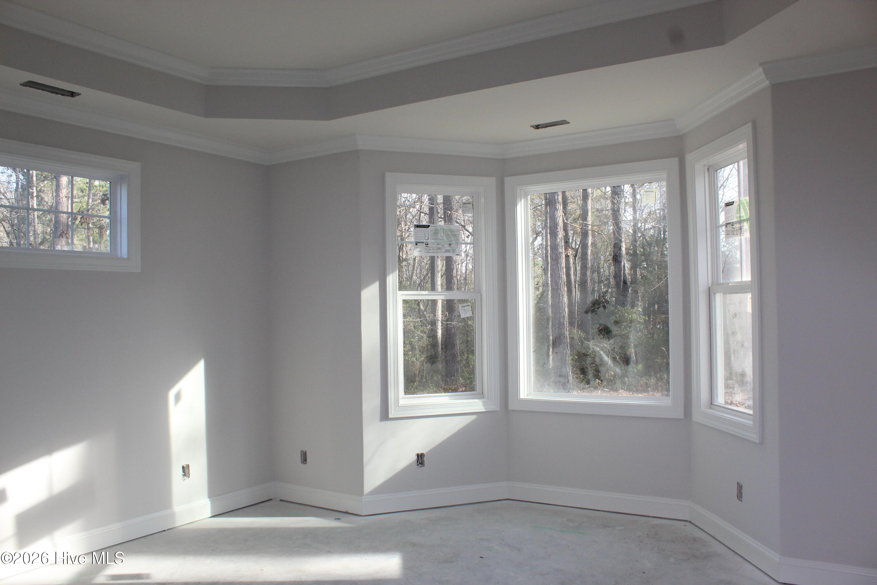 100536128 | Photo 13