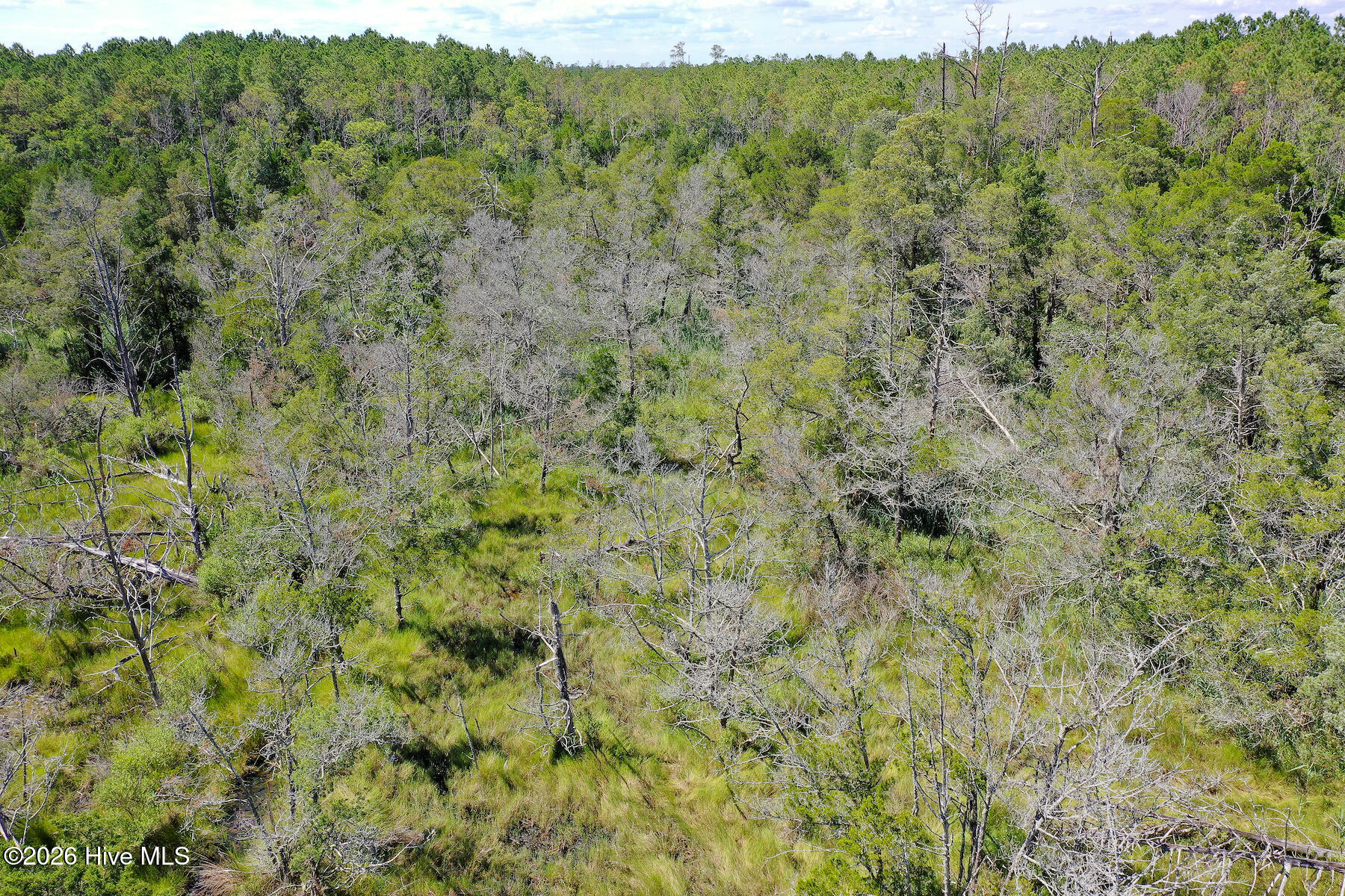 4.57 Acres Meekins Road,Bayboro
