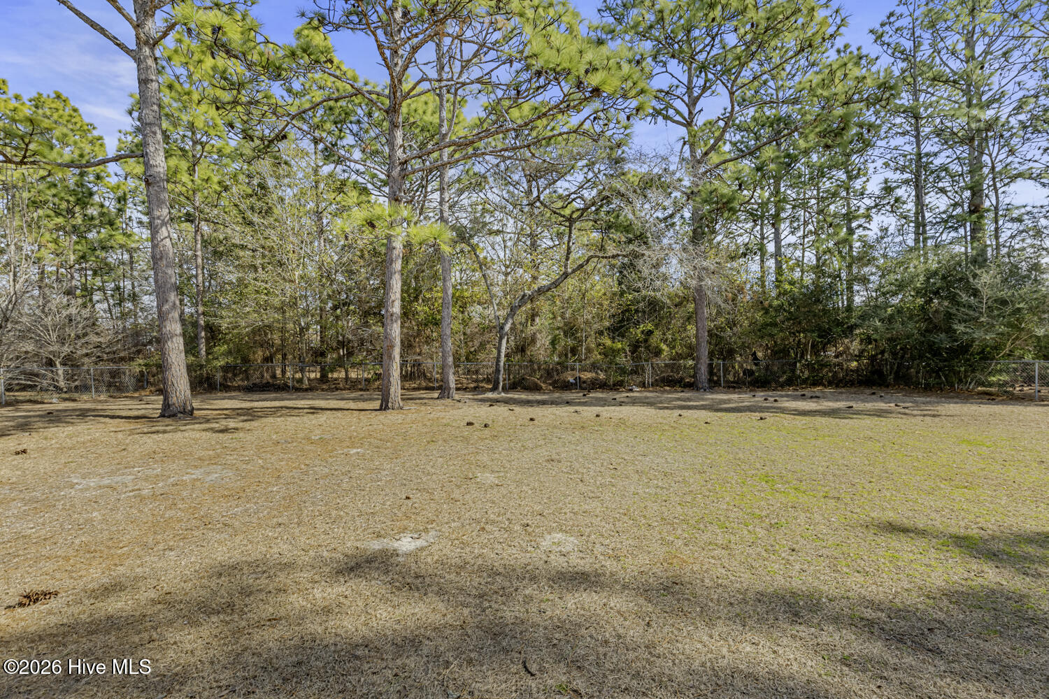 100555475 | Photo 19