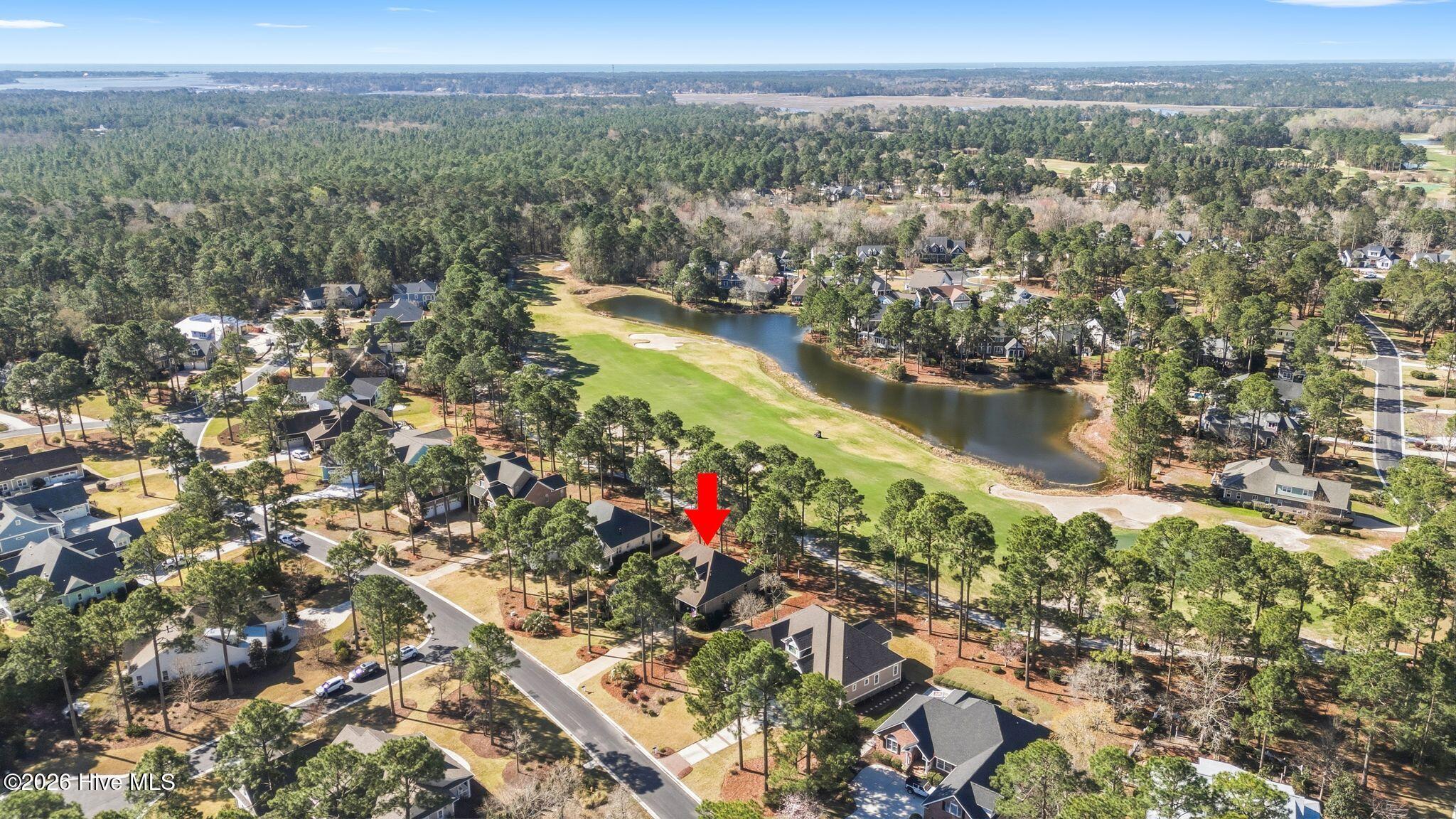 100564432 | Photo 56