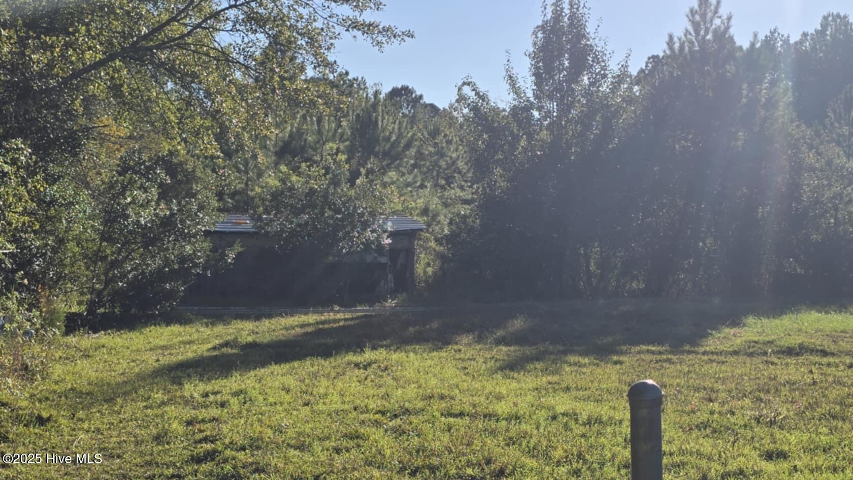 100538162 | Photo 13