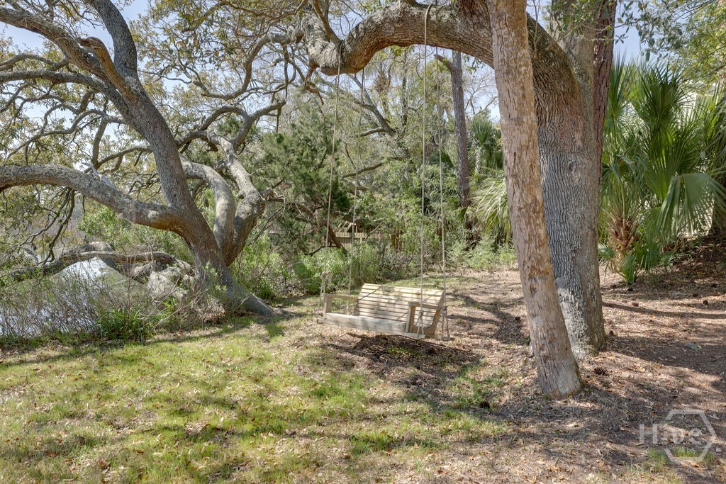 Live oak swing