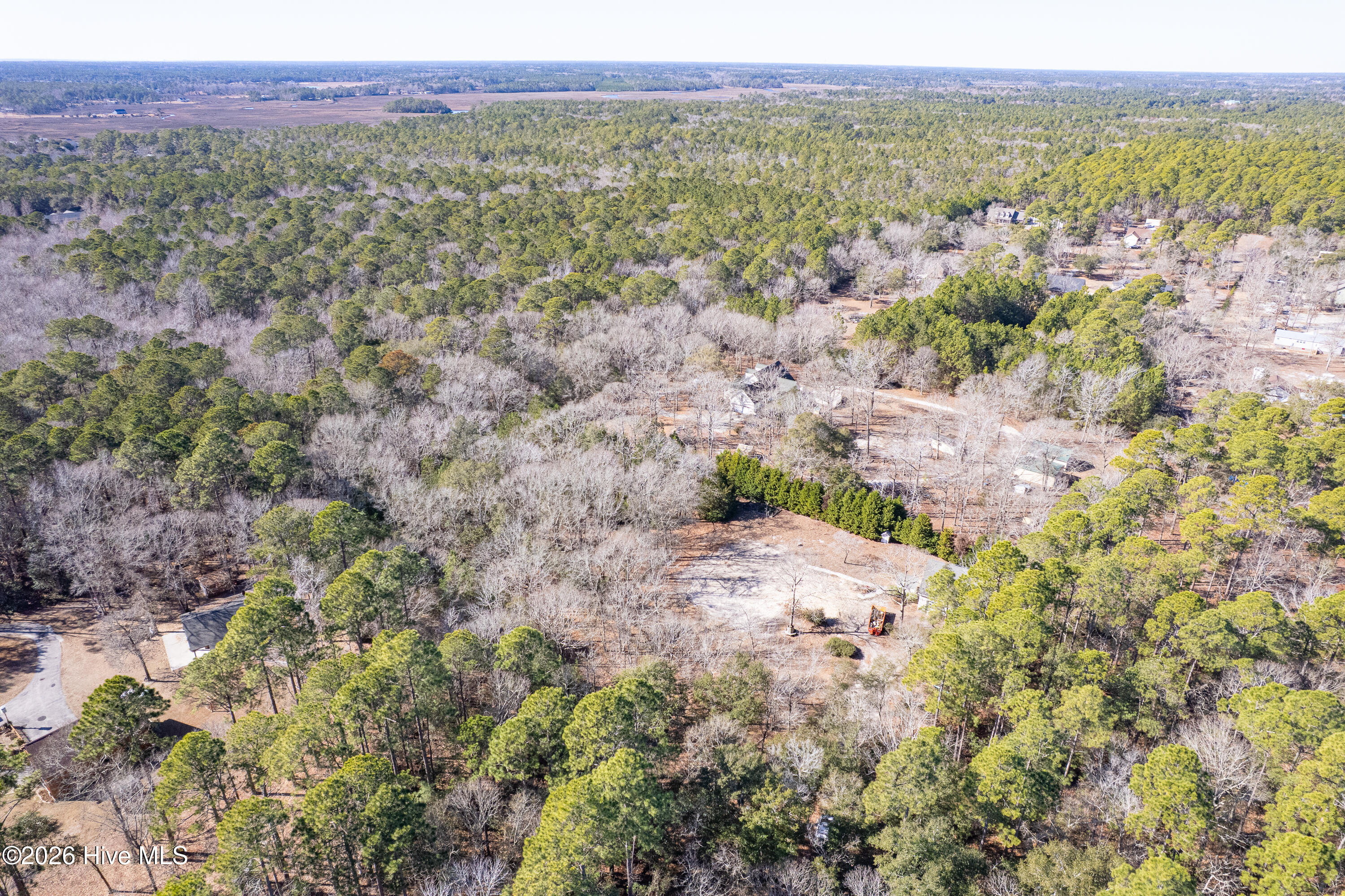 100554775 | Photo 15