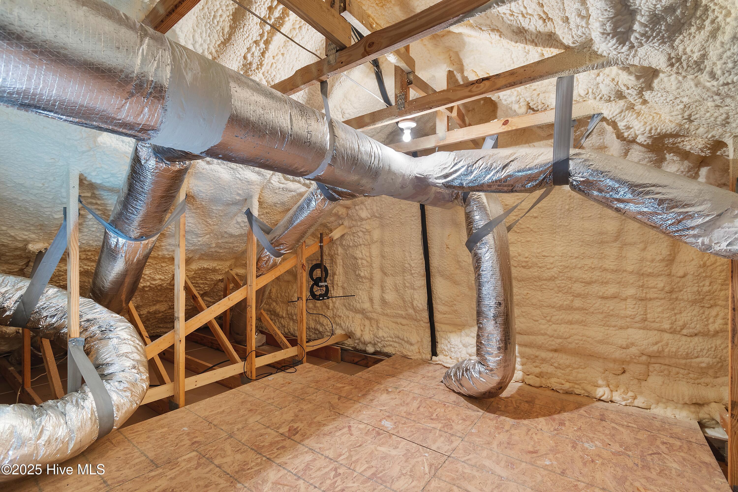 100541984 | Photo 29