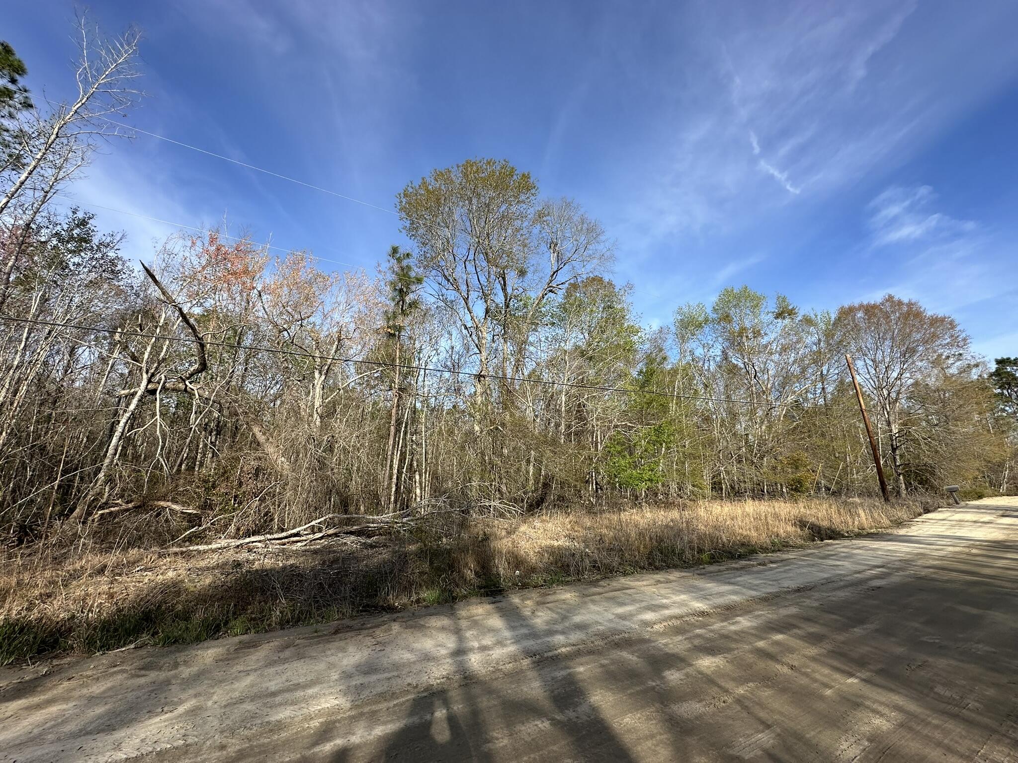 Homes for sale in Swainsboro, GA | Lot 12 Robin Blvd, Swainsboro, GA 30401 | MLS# 98256795