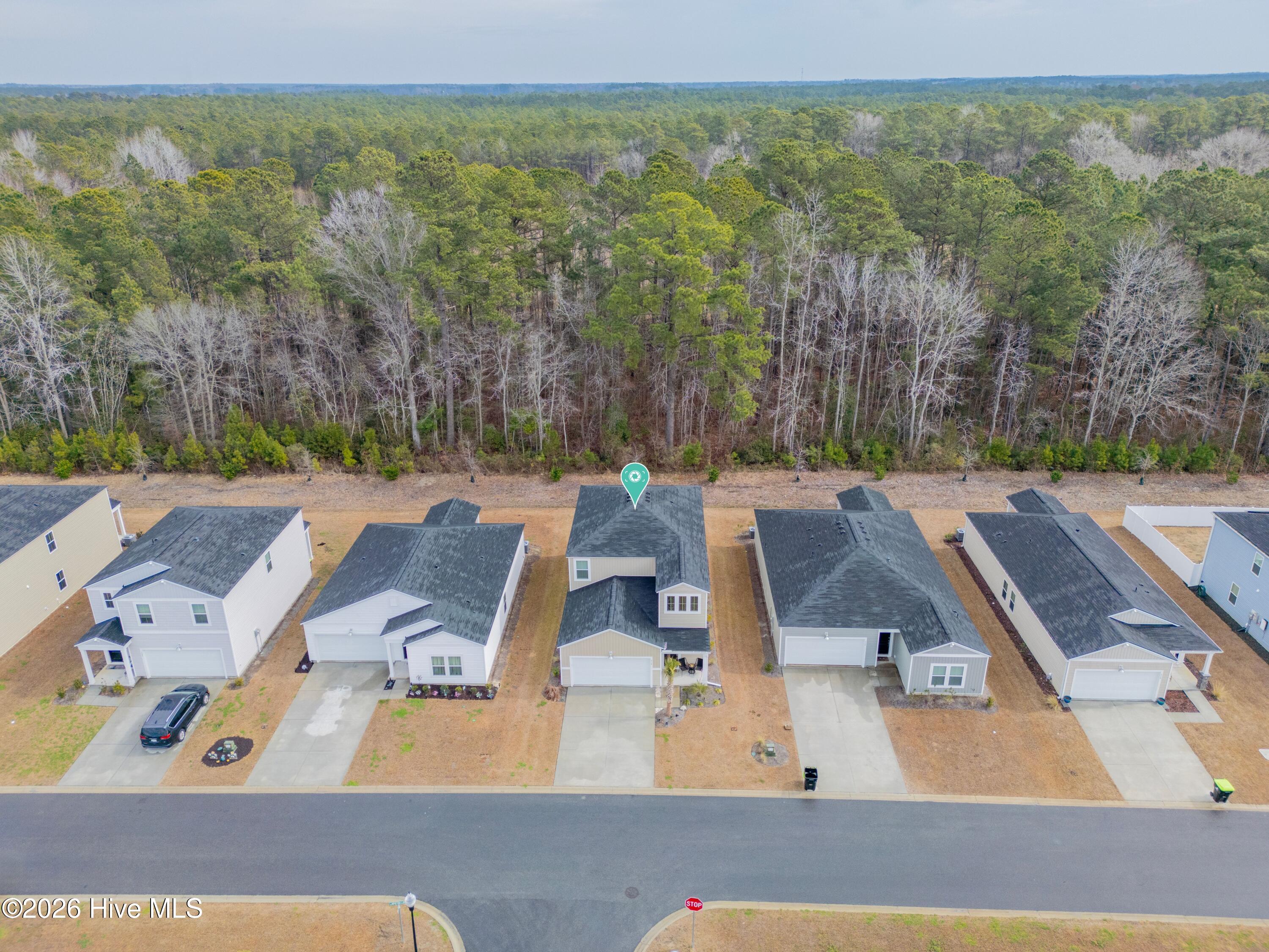 100554355 | Photo 31