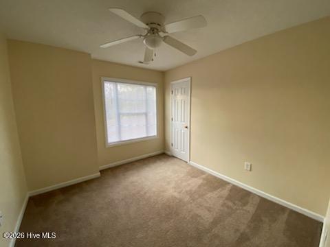 100554894 | Photo 20