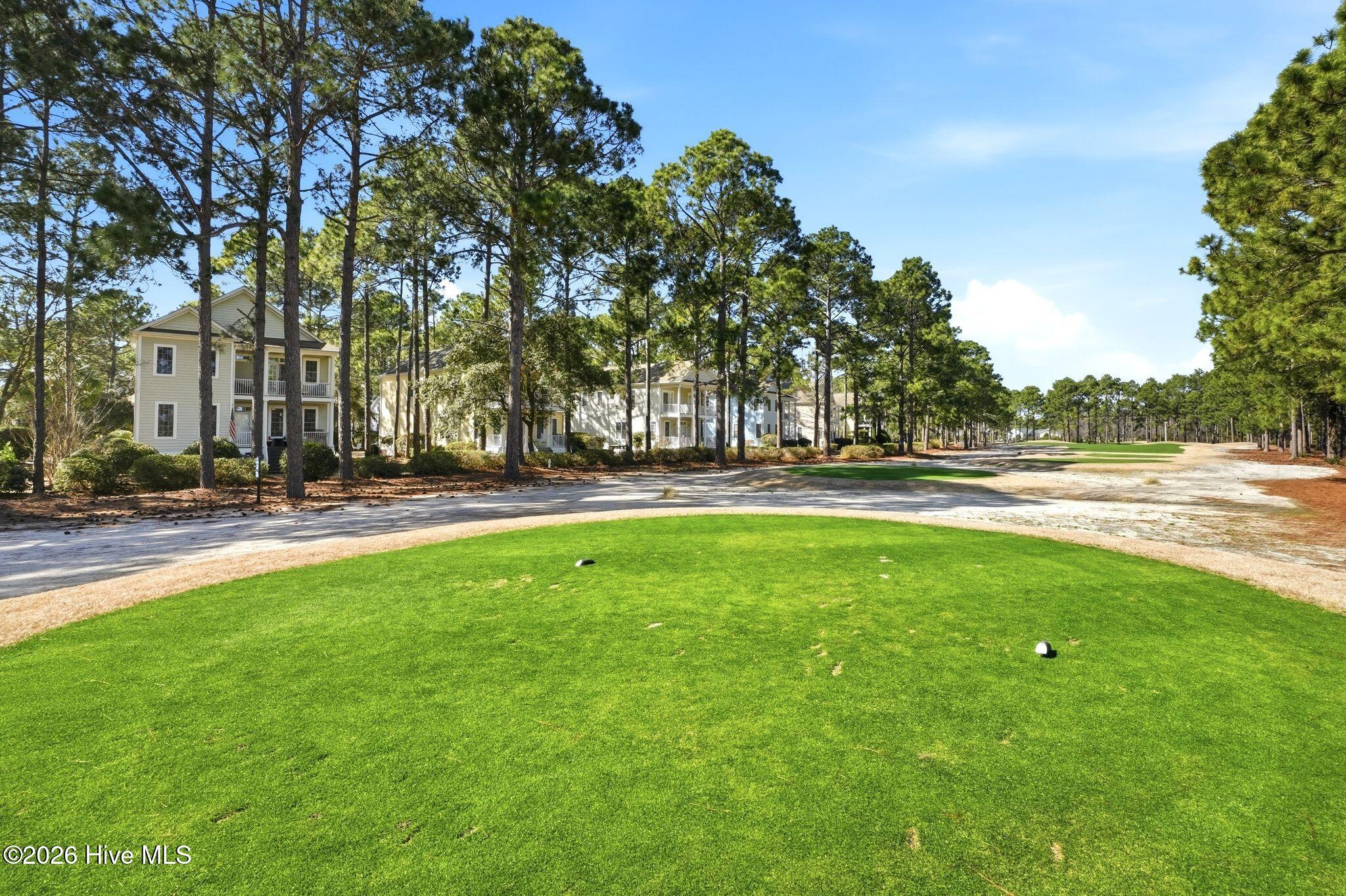 100559156 | Photo 37