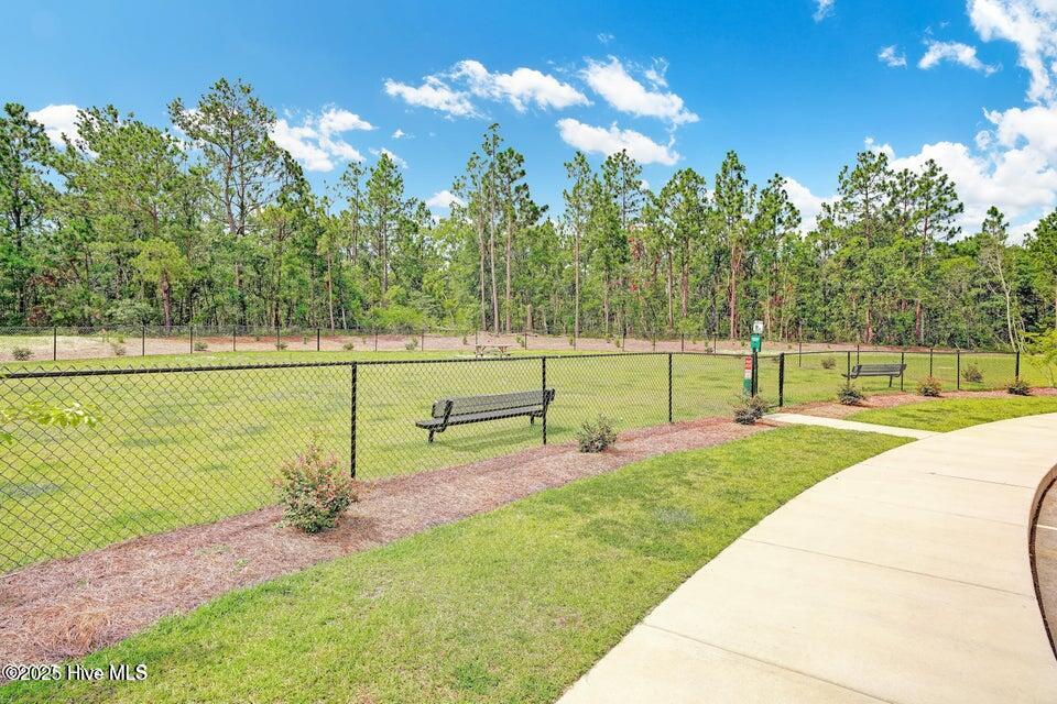 100540789 | Photo 63