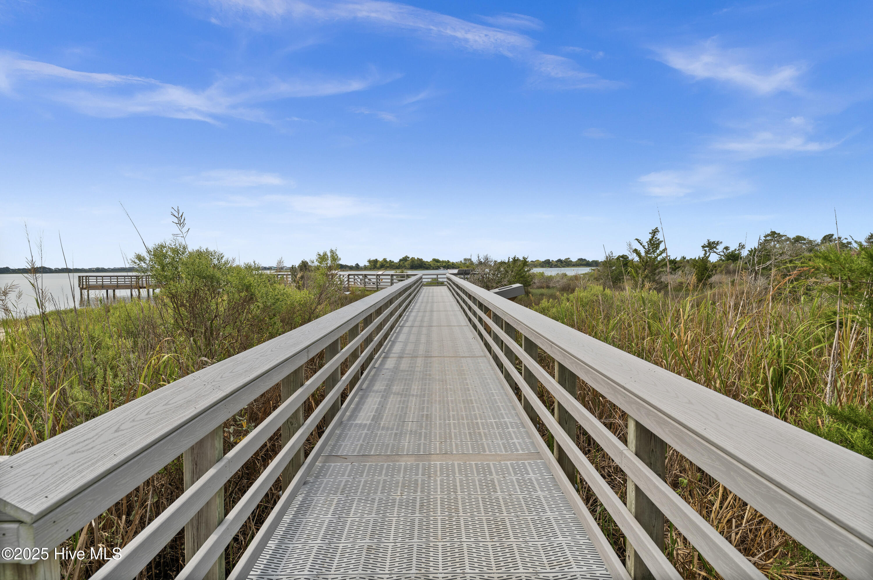 100530056 | Photo 39