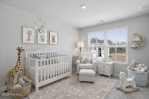 100559219 | Photo 20