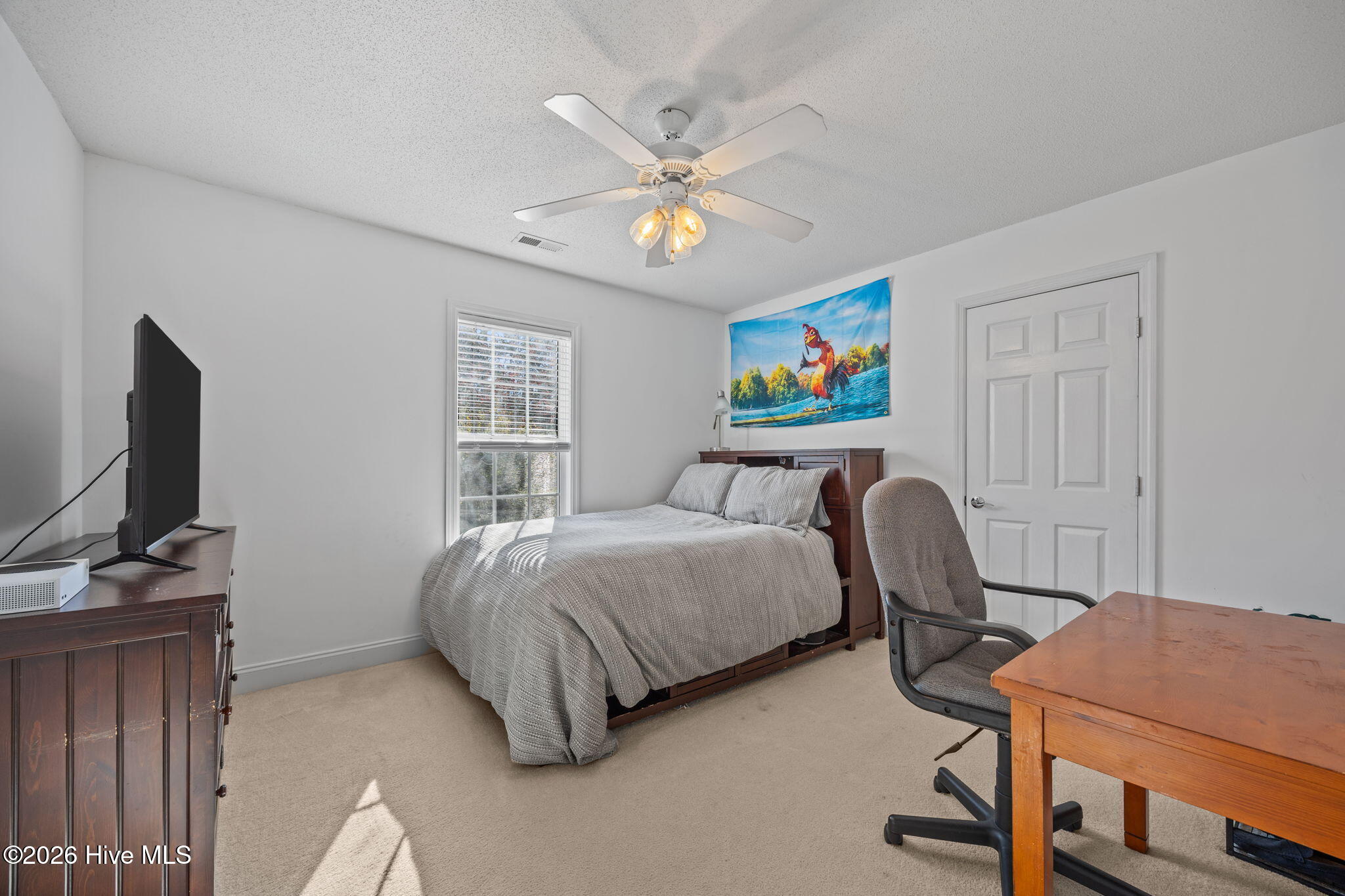 100559143 | Photo 23