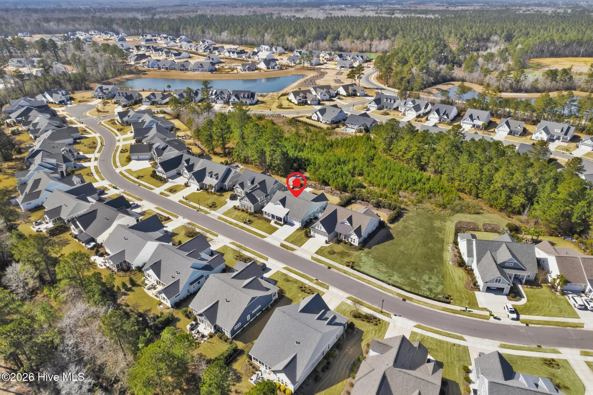 100554961 | Photo 49