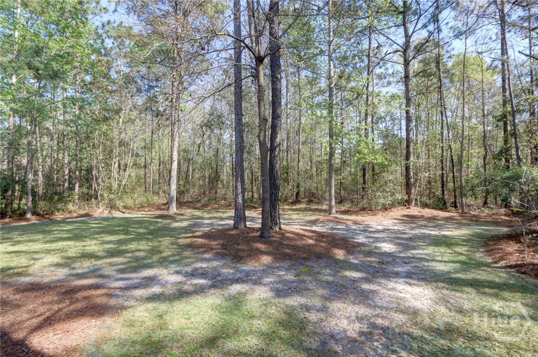 179 Spanton Crescent, Pooler, GA 31322 Listing Photo  58
