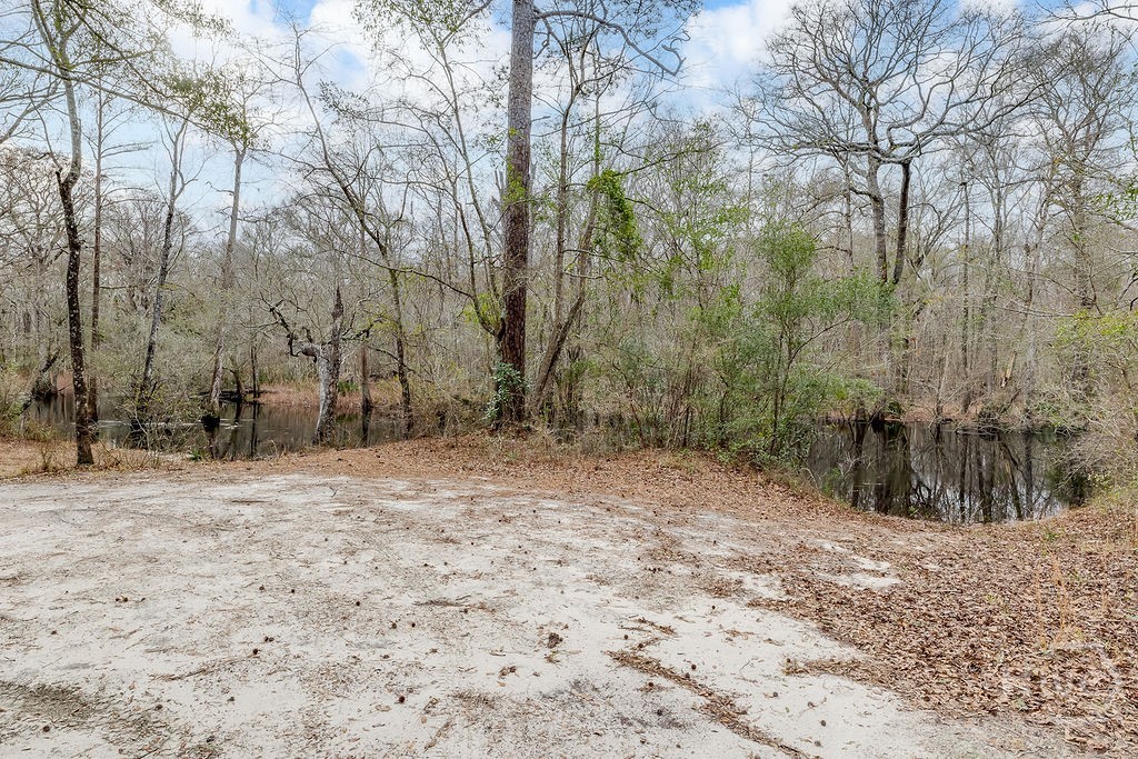 Kayak Launch at ebenezer creek in rear of neighbor