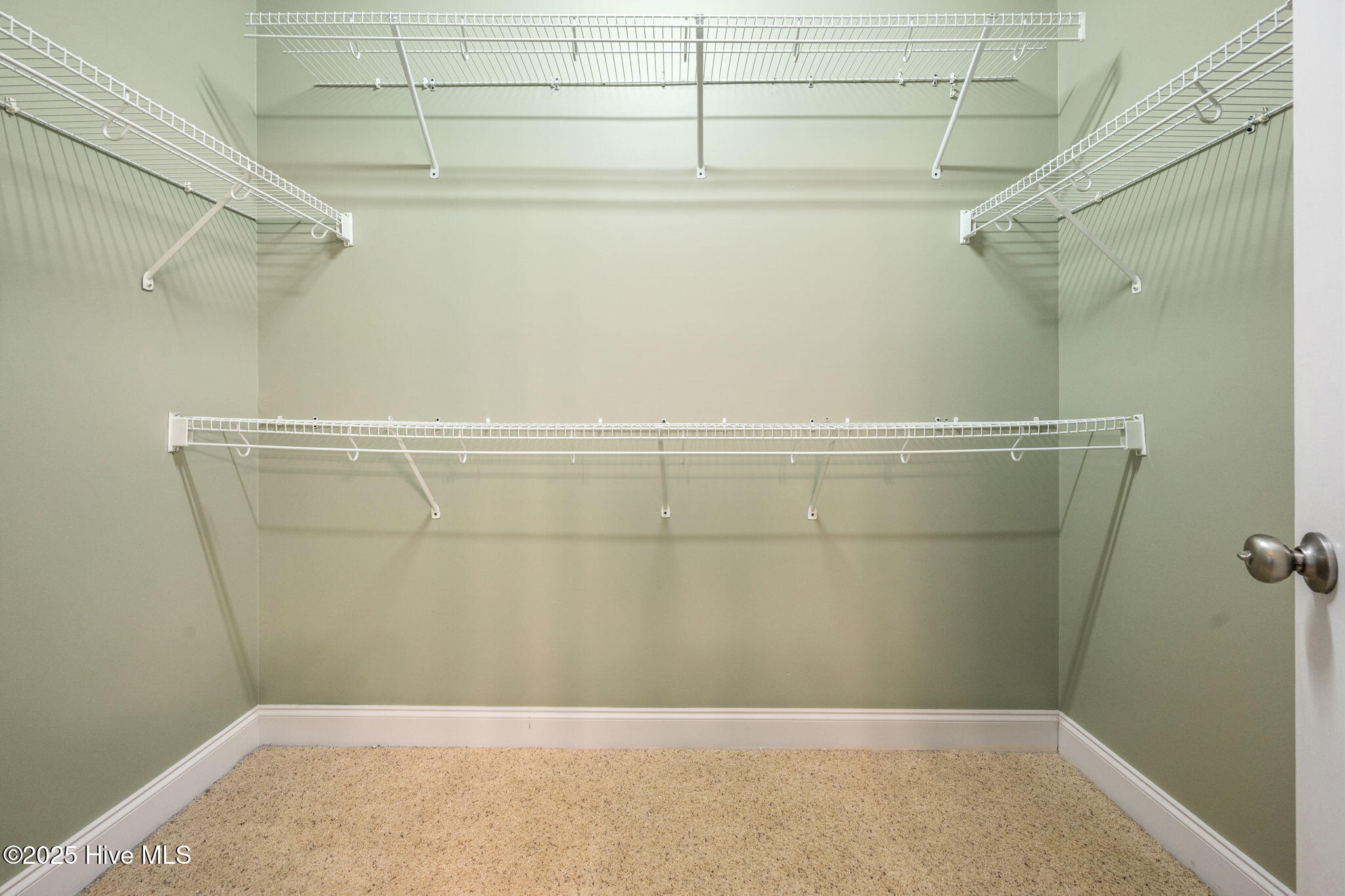 100538167 | Photo 27