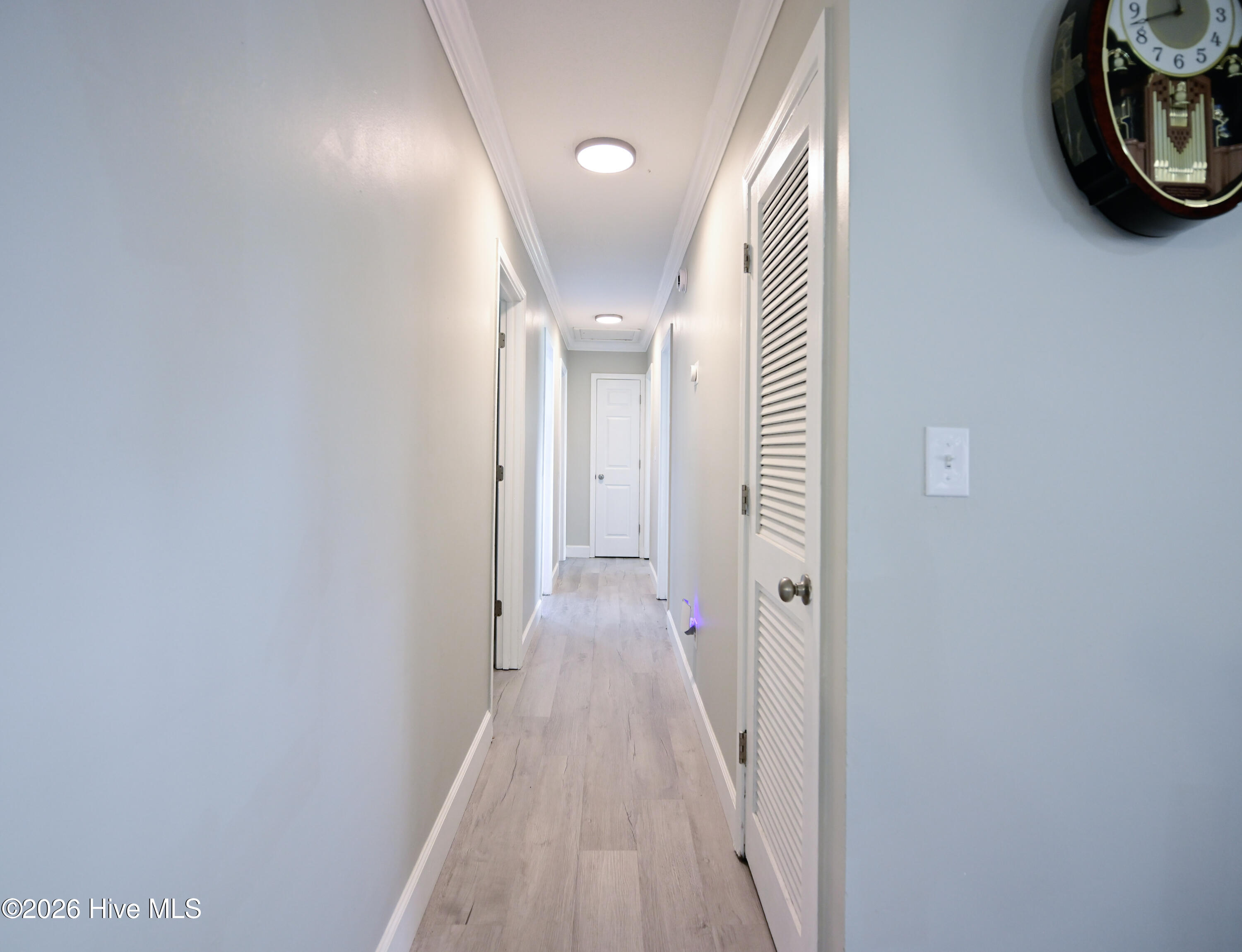 100564007 | Photo 19