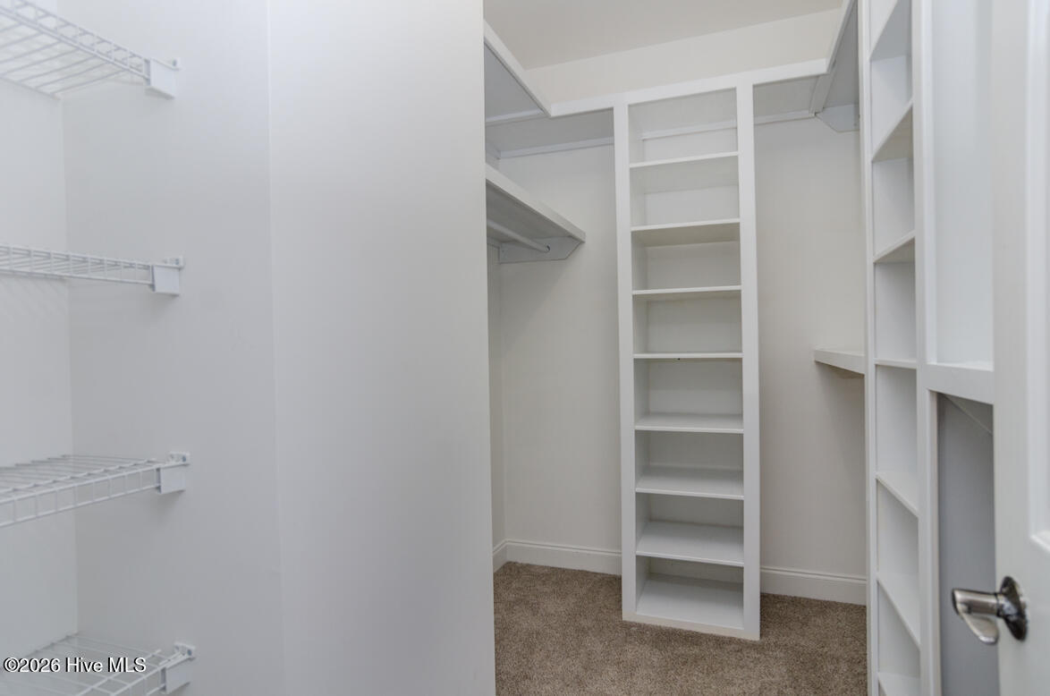 100553134 | Photo 19