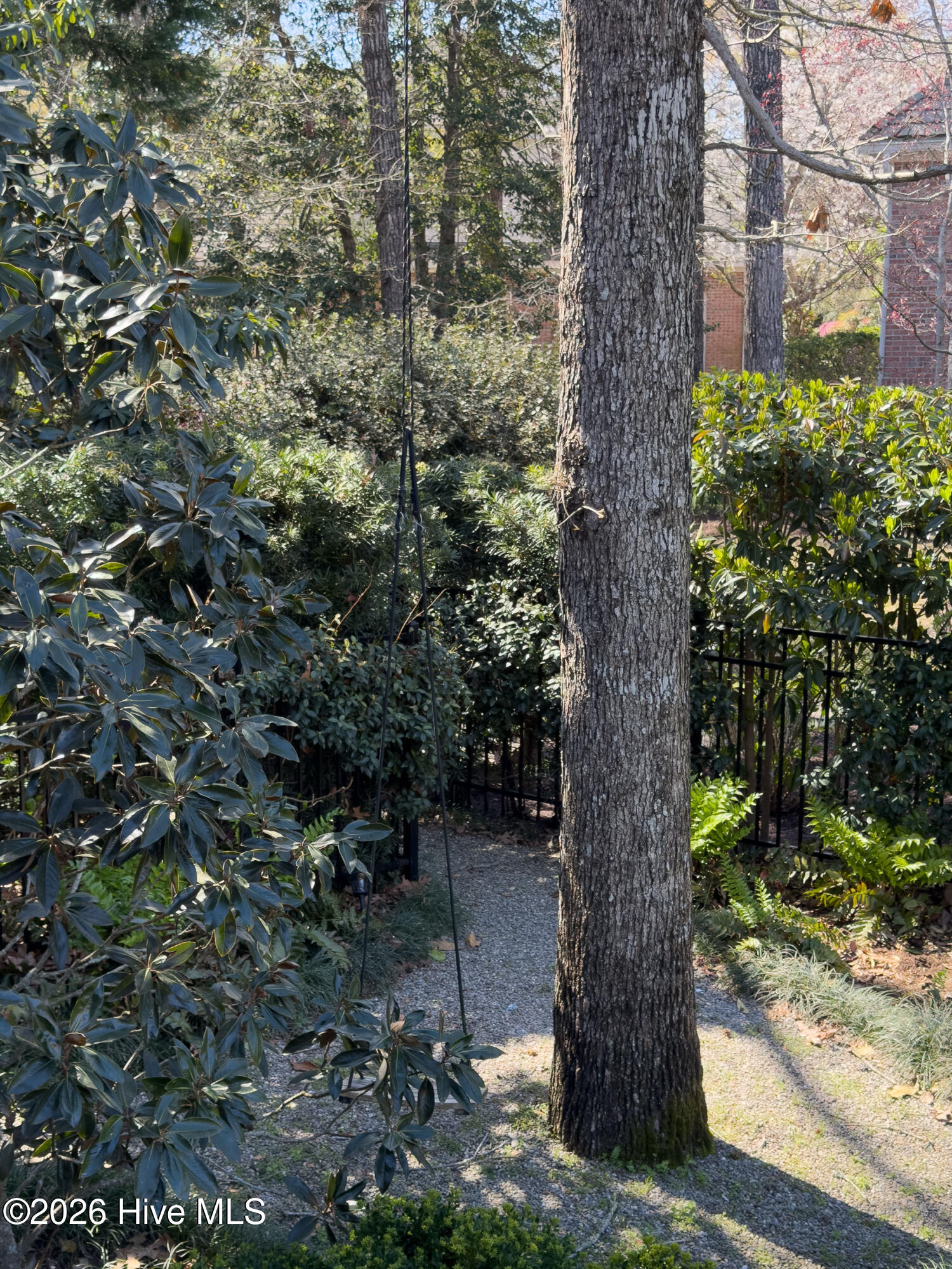 100538955 | Photo 36