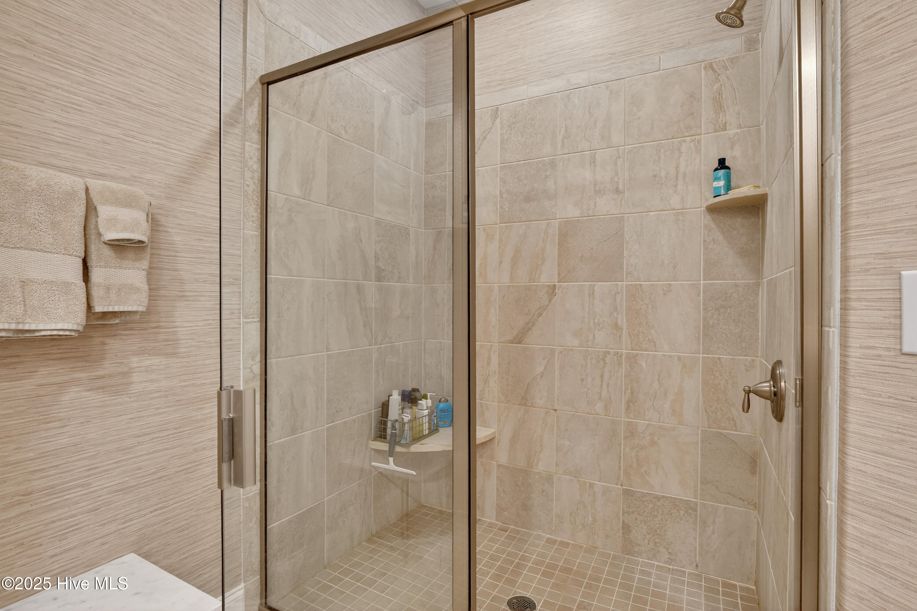 100529241 | Photo 17