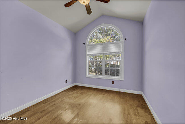 100542118 | Photo 15