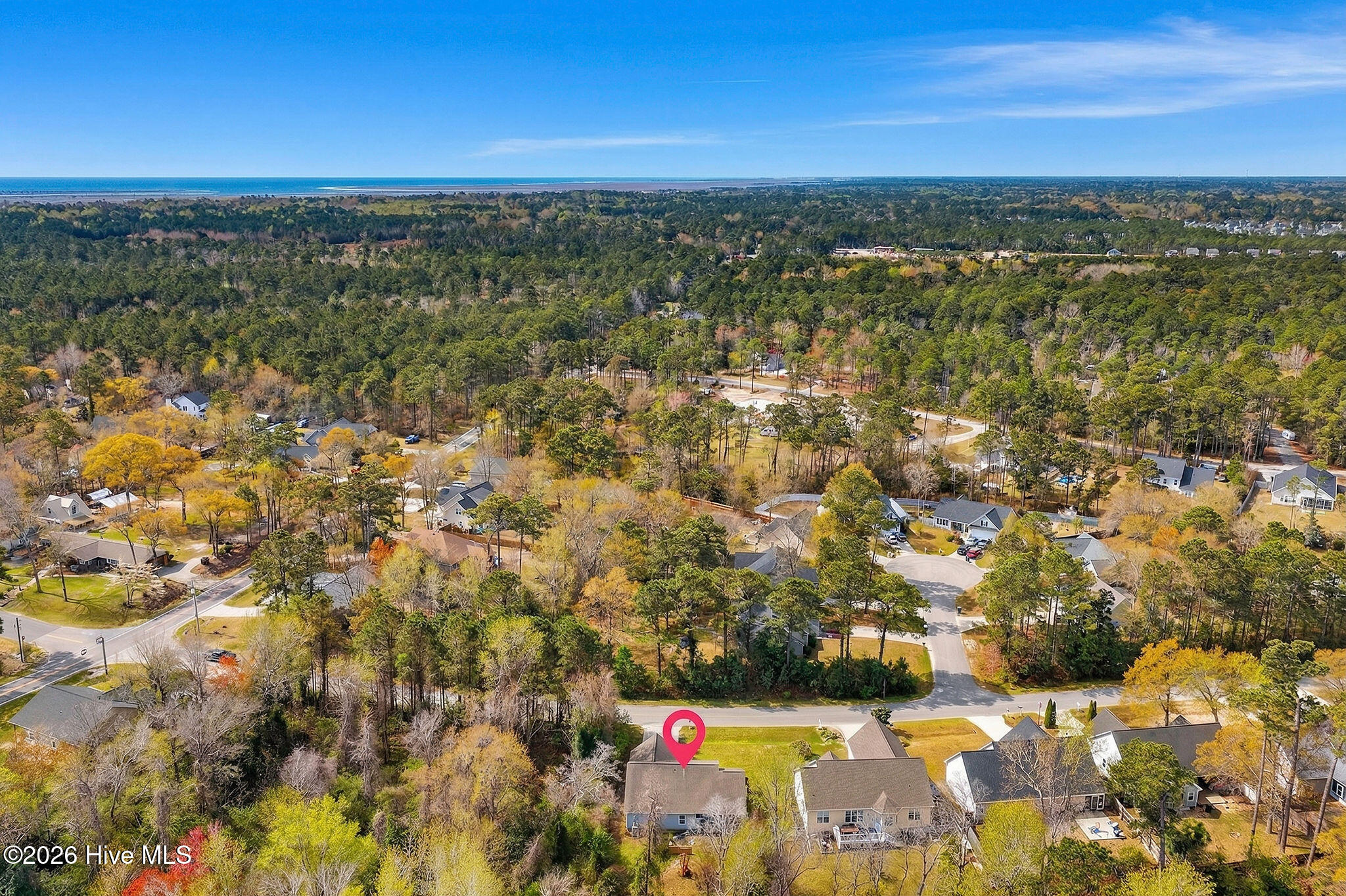 100562659 | Photo 39