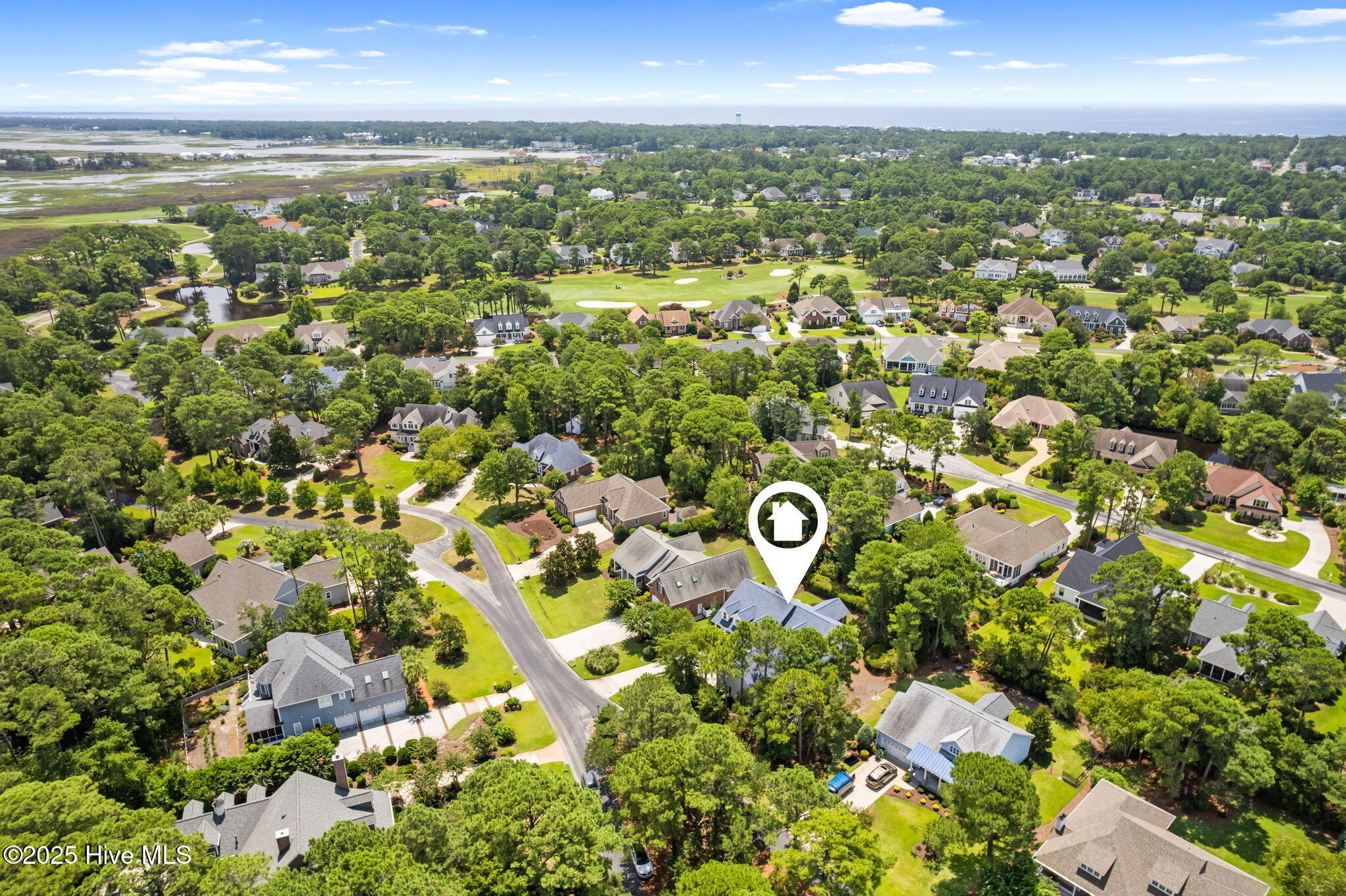 100523861 | Photo 50