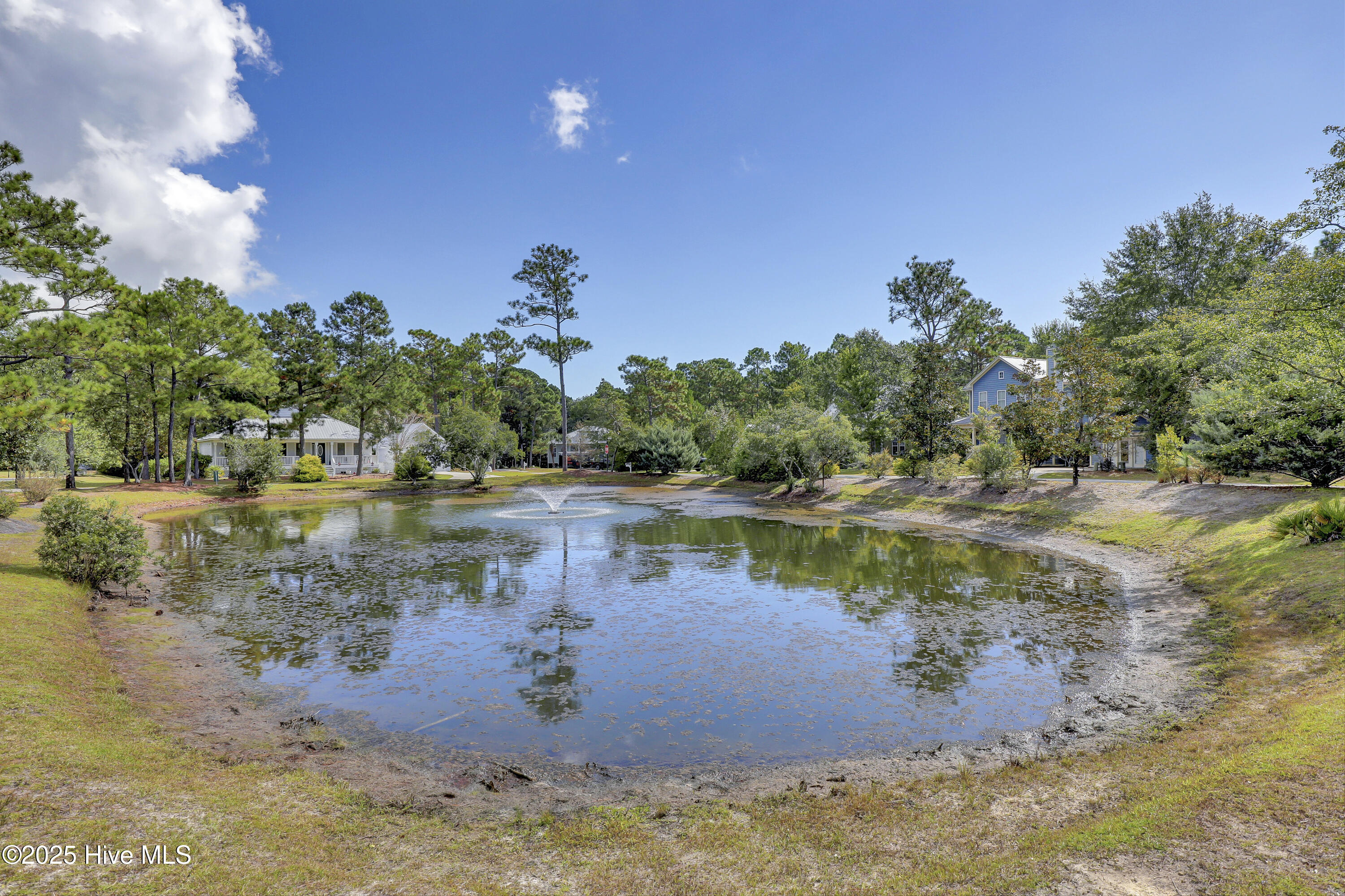 100532986 | Photo 47