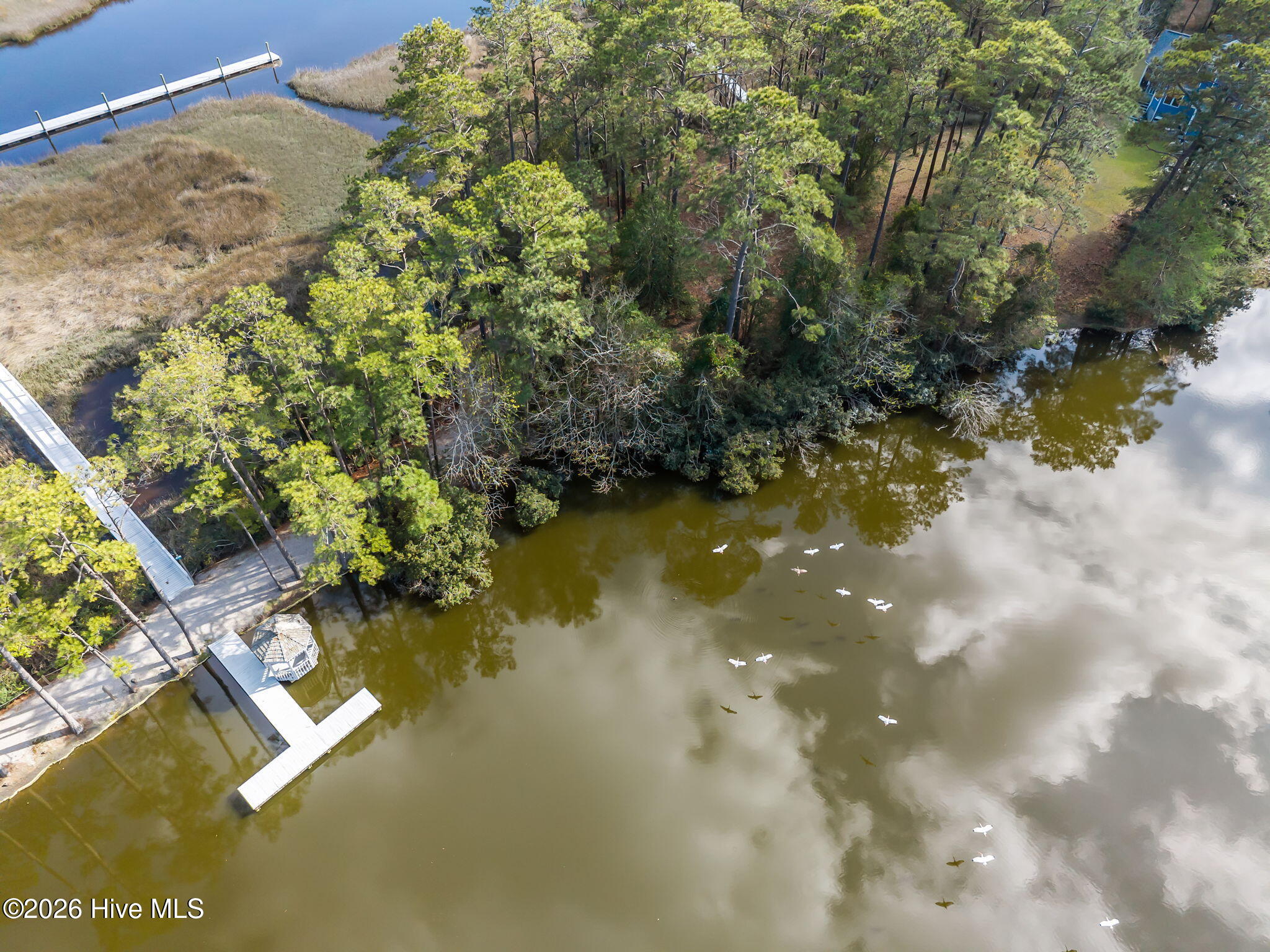 100562796 | Photo 55