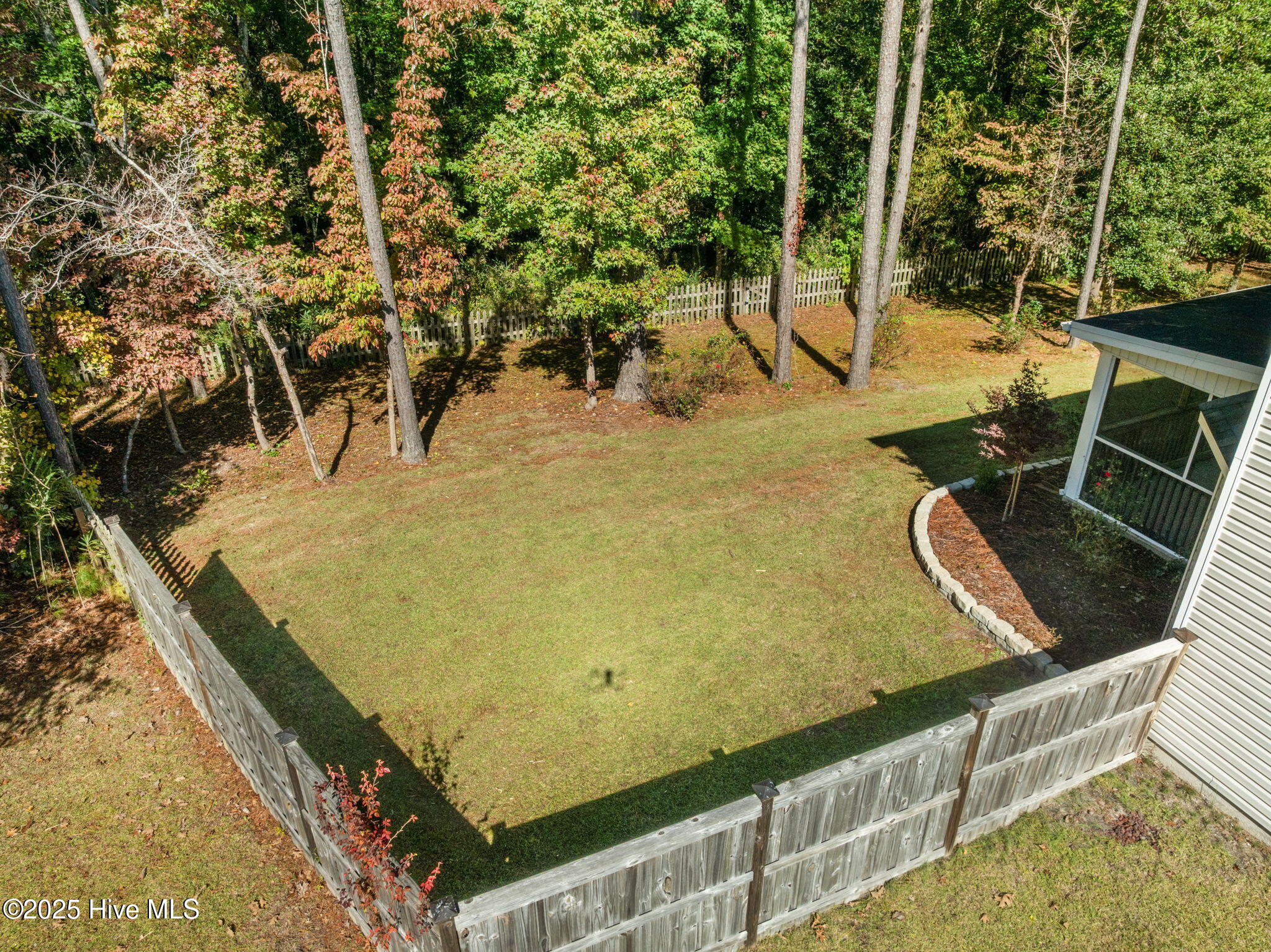 100538964 | Photo 50